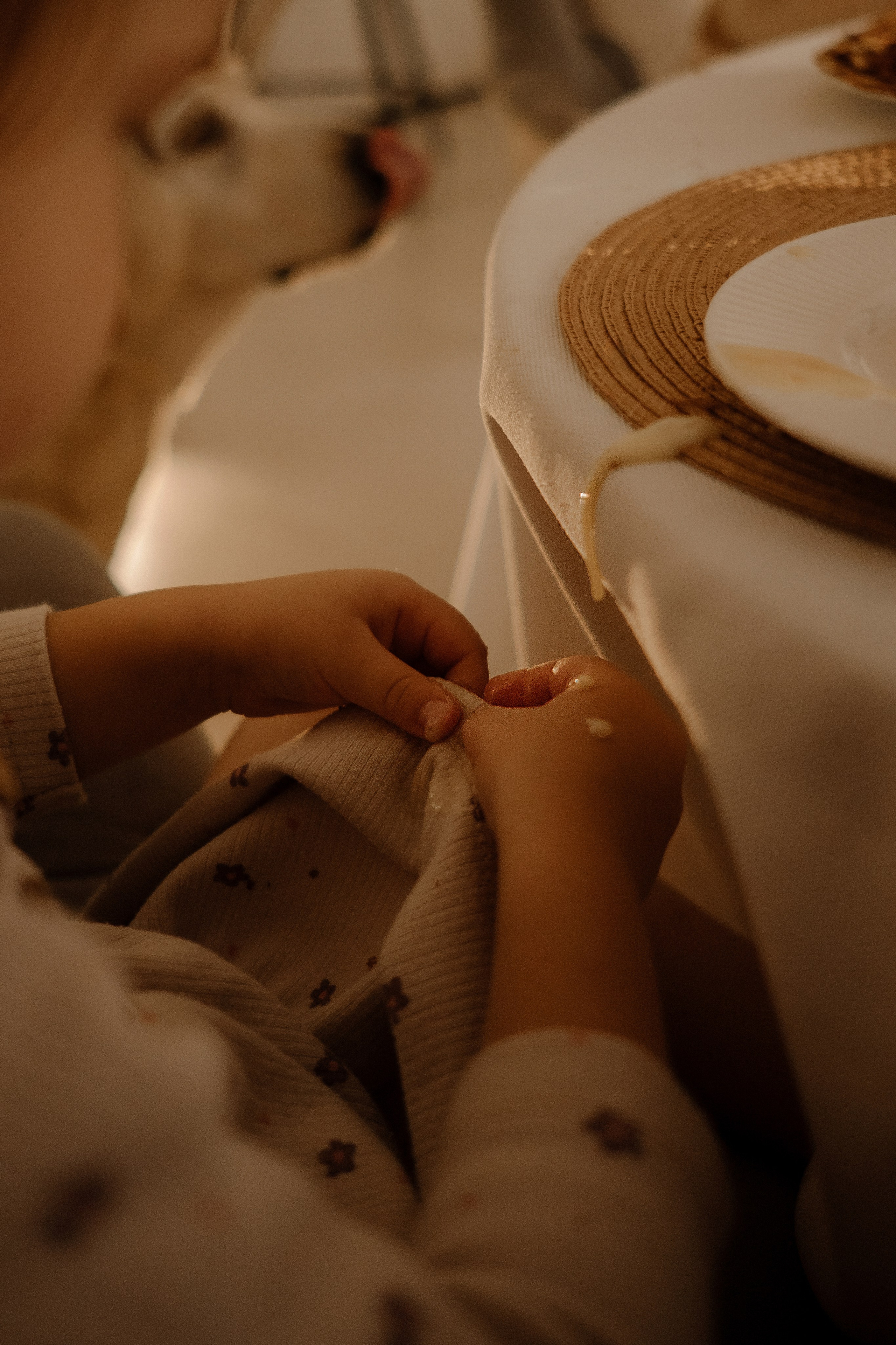 Семейные фотосессии в Сочи, Сириус и на Красной поляне. Семейный, свадебный фотограф Сочи, Адлер, Красная поляна