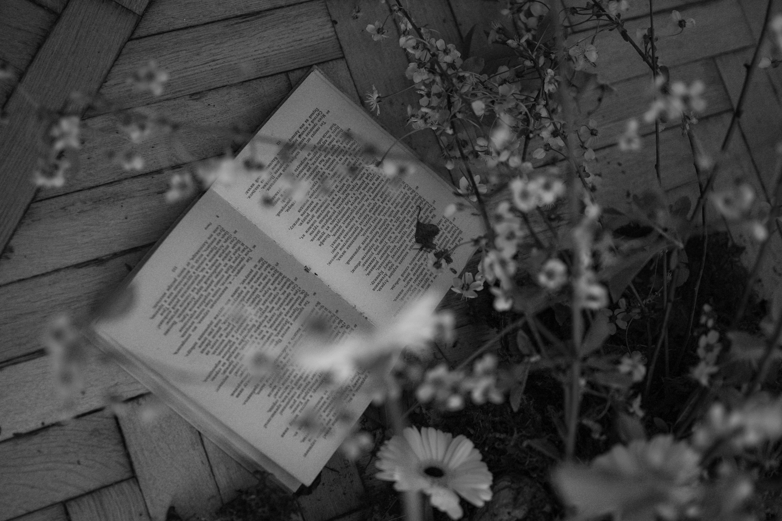 Весенняя история. Оформление свадеб, декор свадеб Вера Маркова, Москва