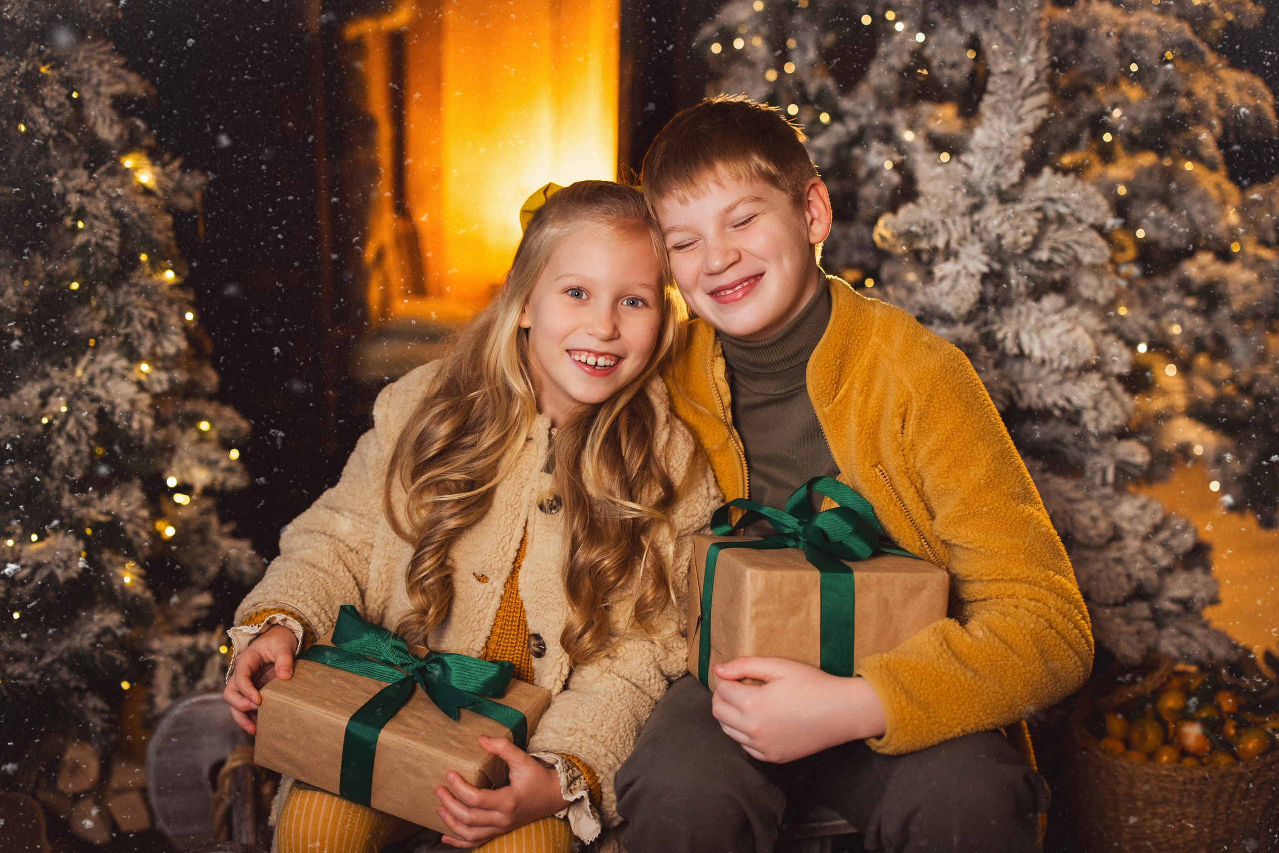 Фотосессия с собачками Корги в зимних декорациях фотостудии «Майя», город Краснодар. Семейный и детский фотограф в Краснодаре Анна Трашкова