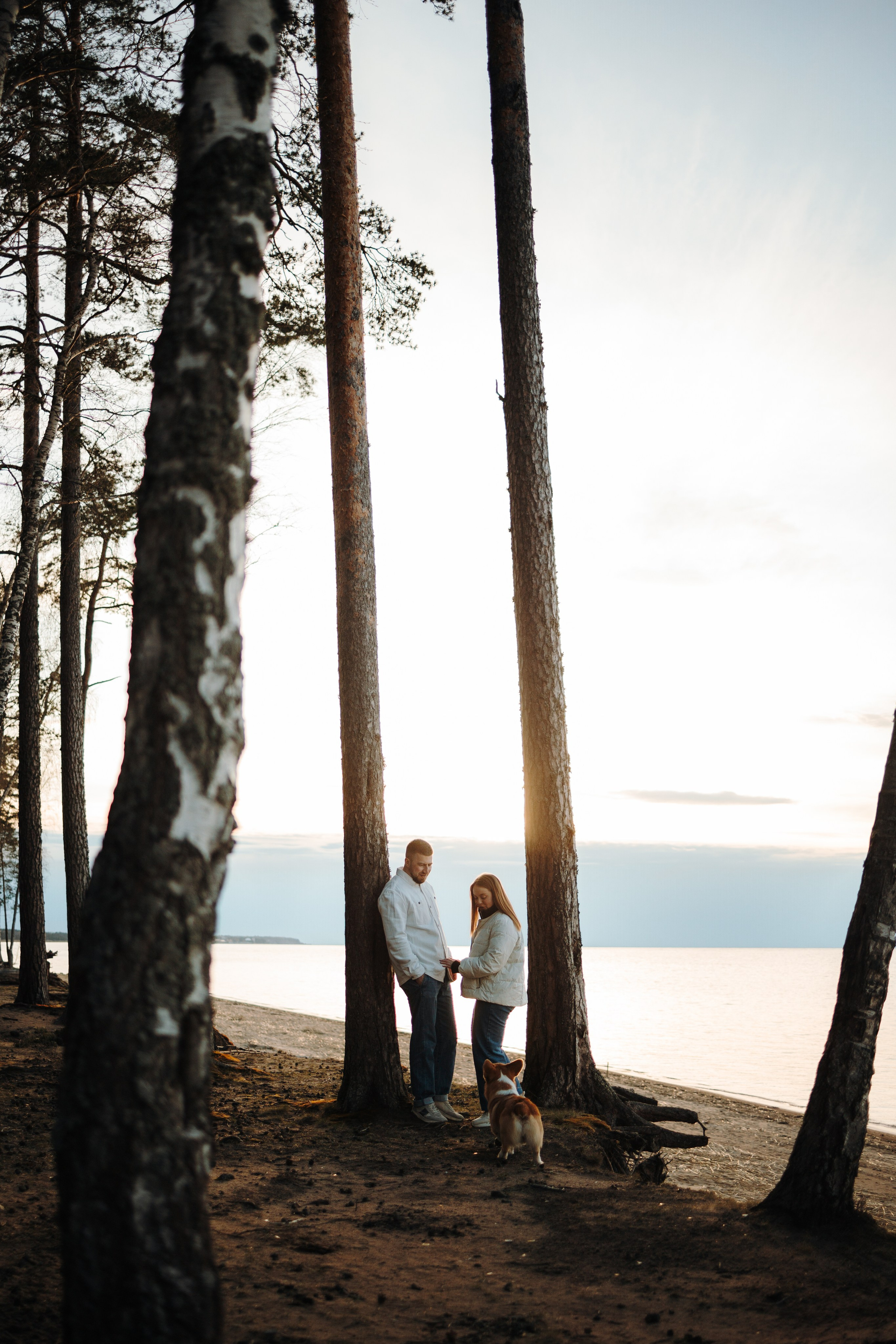 Найт и его семья. Фотограф — Анималист | Санкт-Петербург