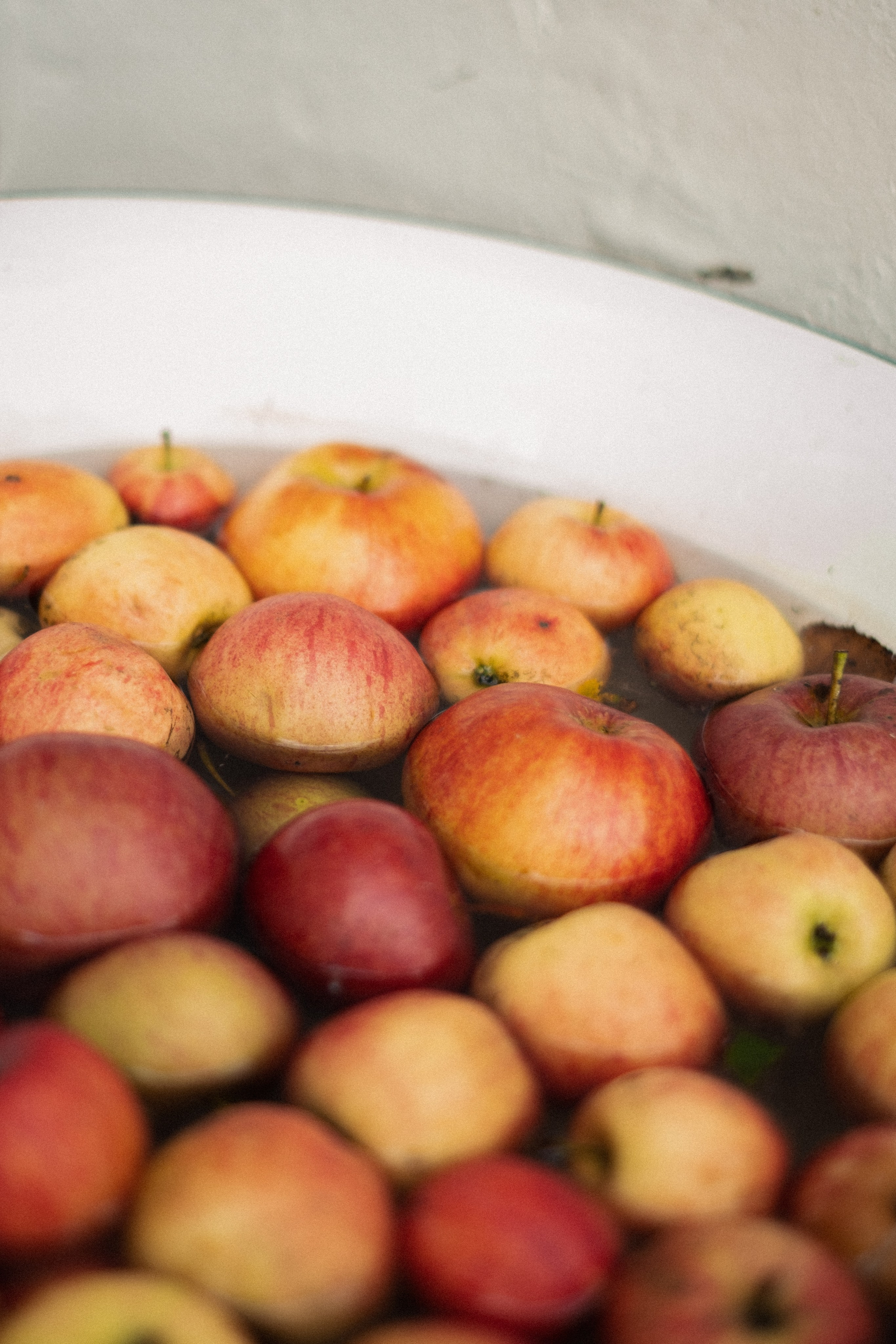 Первая осень. Anastasia N | Фотограф Челябинск