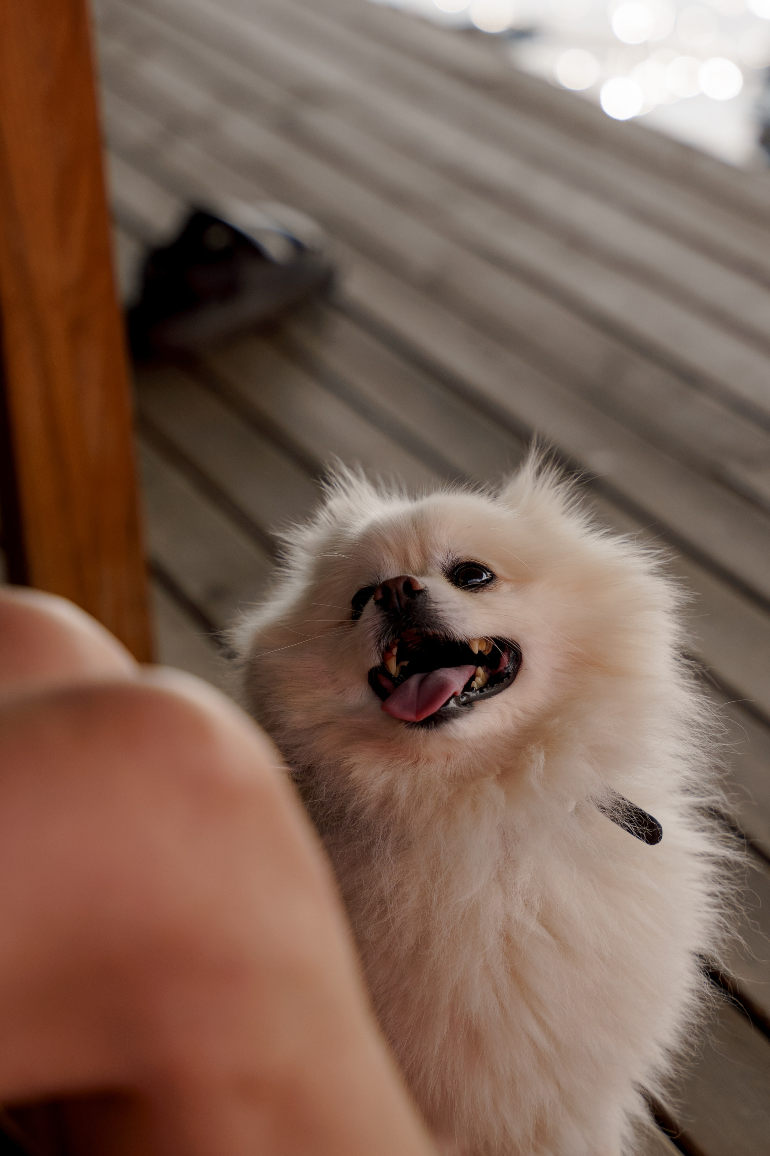 Surf 2025. Фотограф Валерия Крахмалева