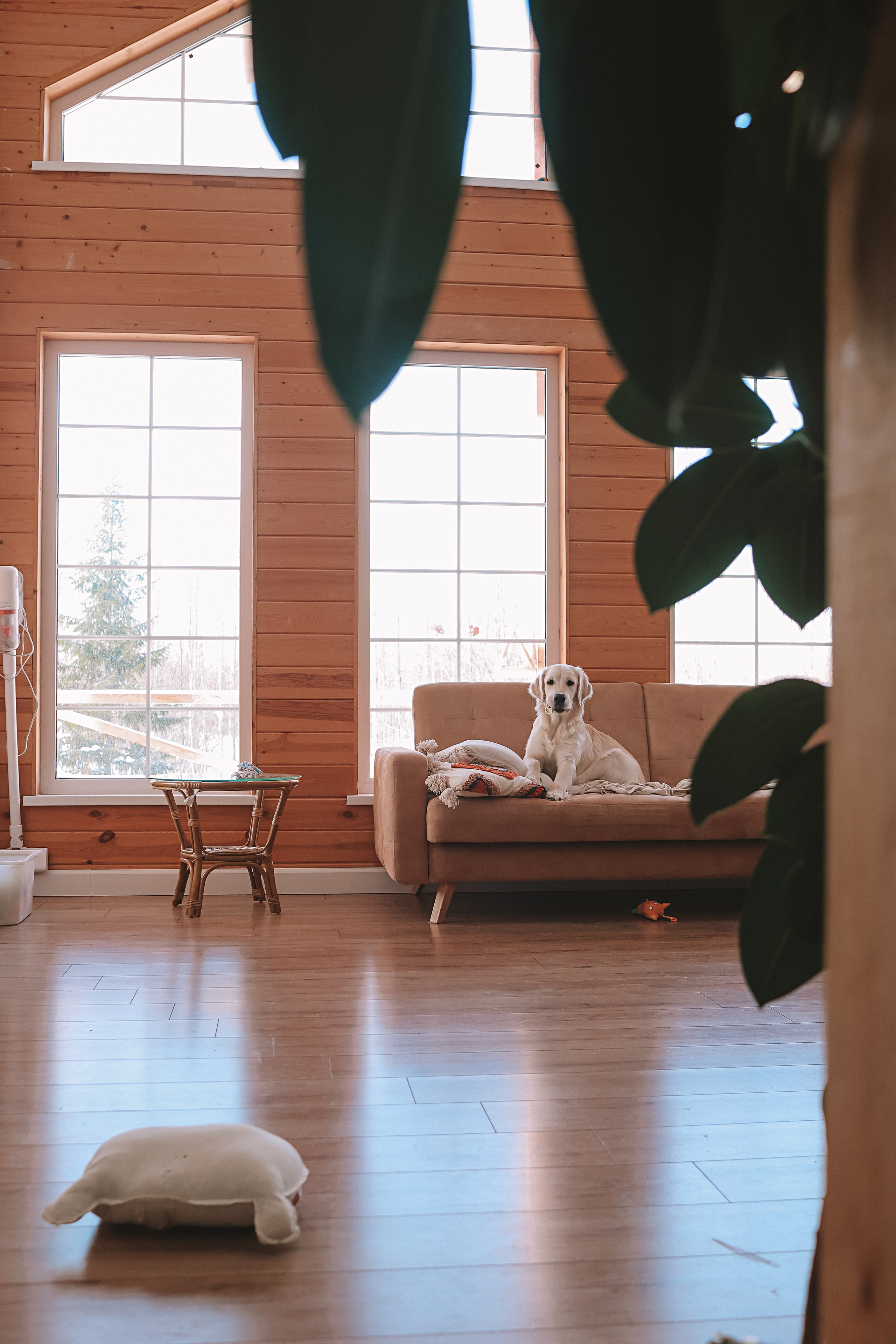 Наська (Чусовой). Семейный фотограф Тюмень, фотограф на роды Салмина Мария