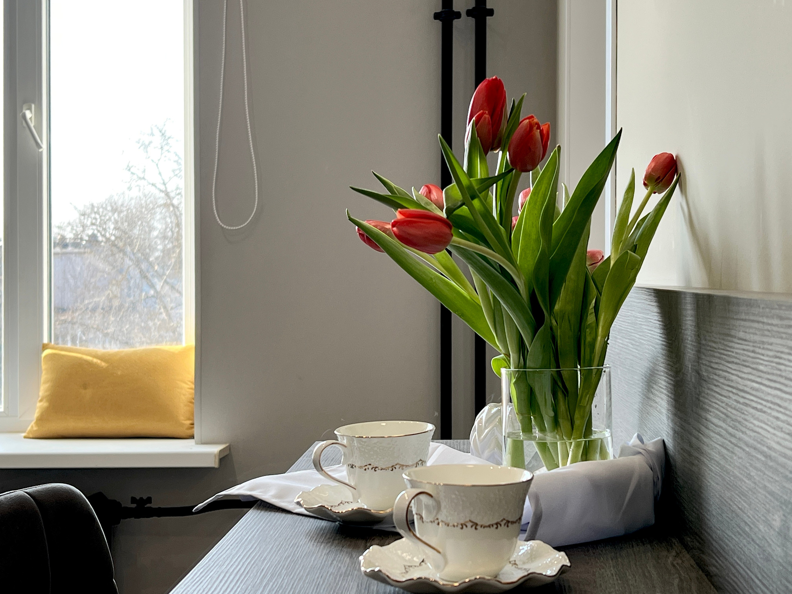 Интерьерная фотосъемка со стилизацией / АРЕНДА 2026. Интерьерный фотограф в Великом Новгороде Ольга Базарова