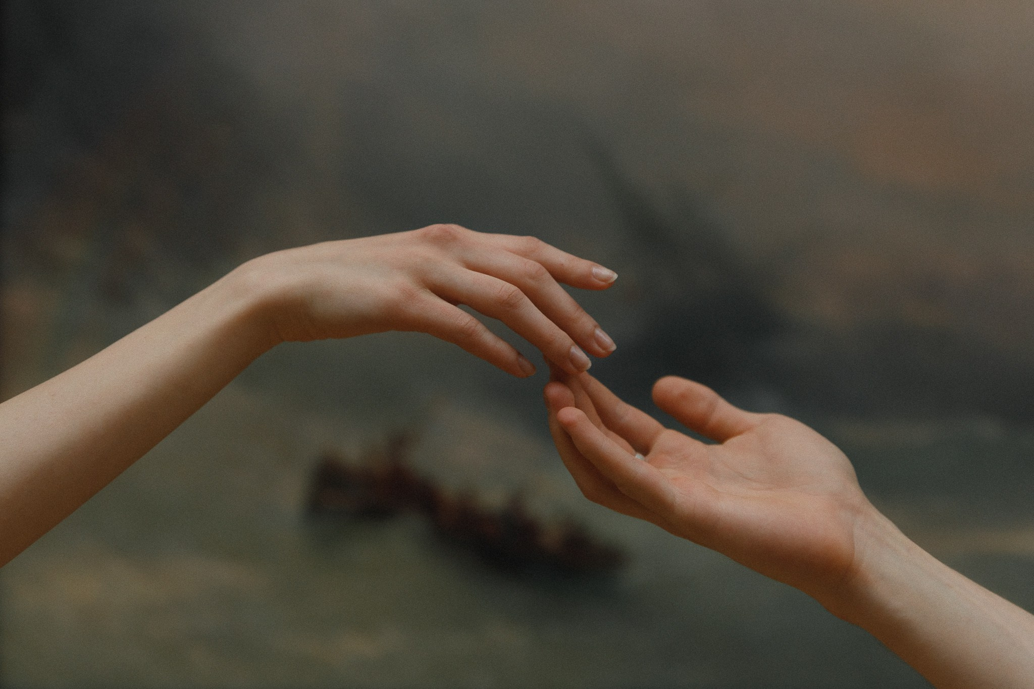 Герасимов Дмитрий