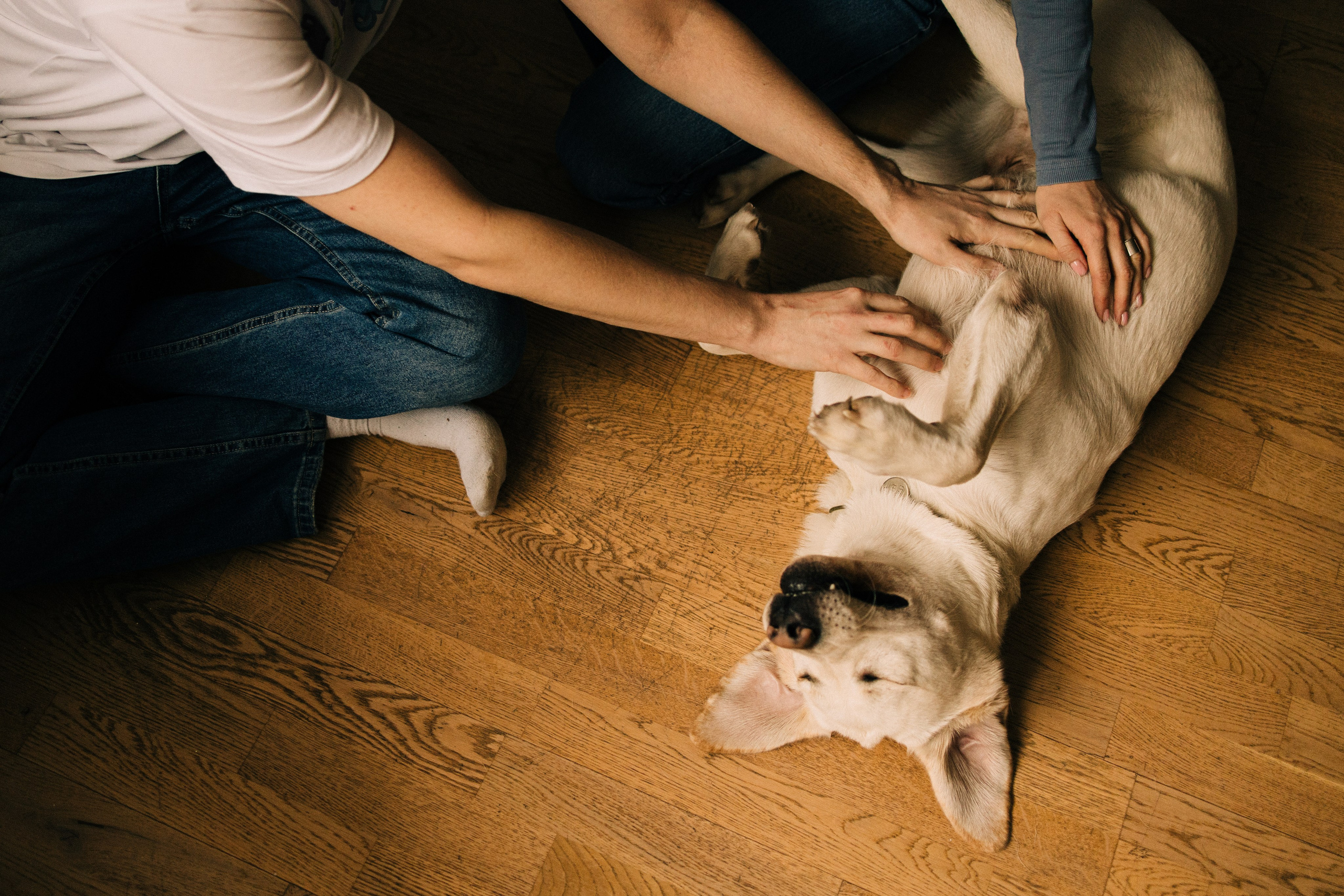 Дома трое. Фотограф Настя Леонова