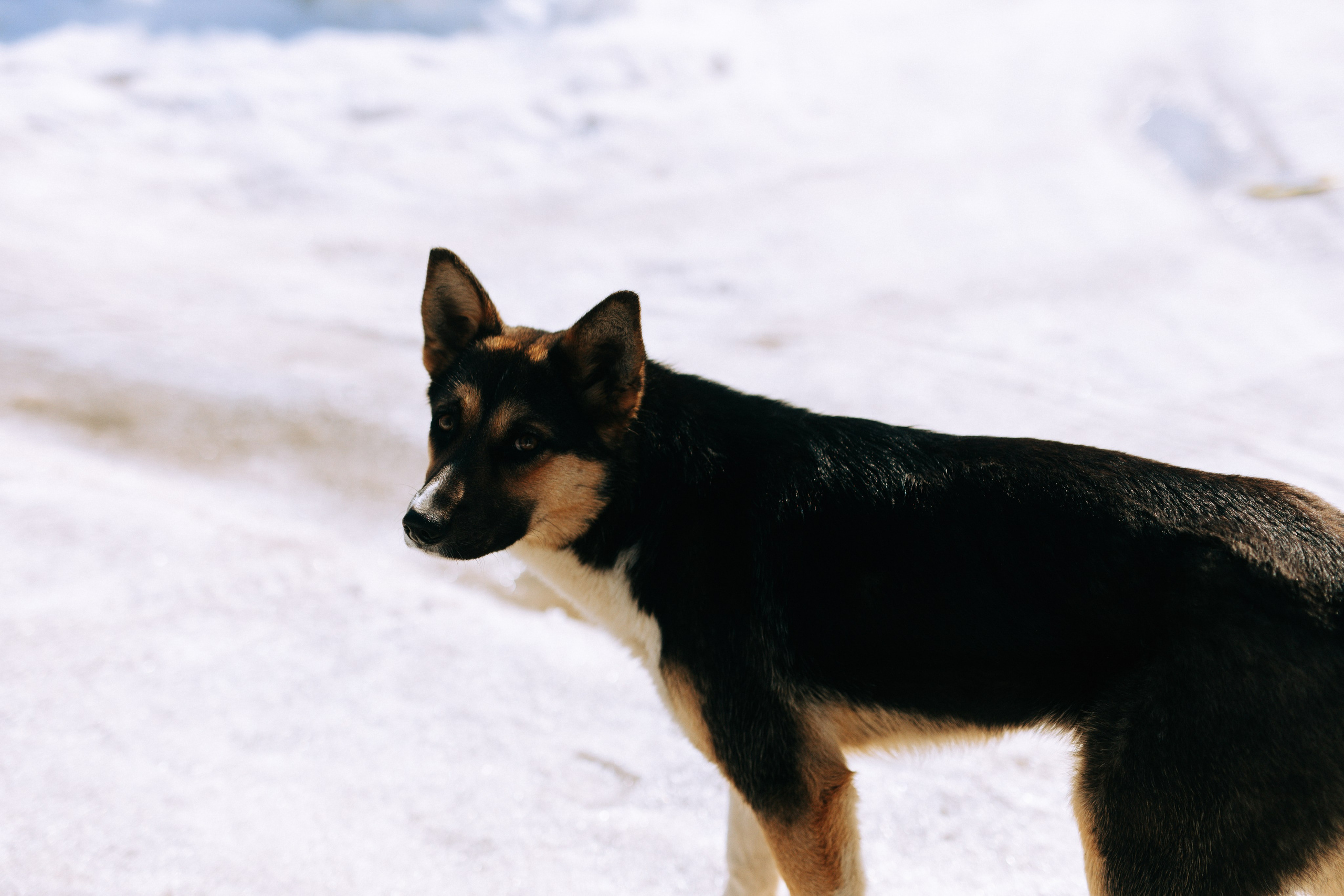 Ефремов. Свадебный и портретный фотограф — Мария Костина