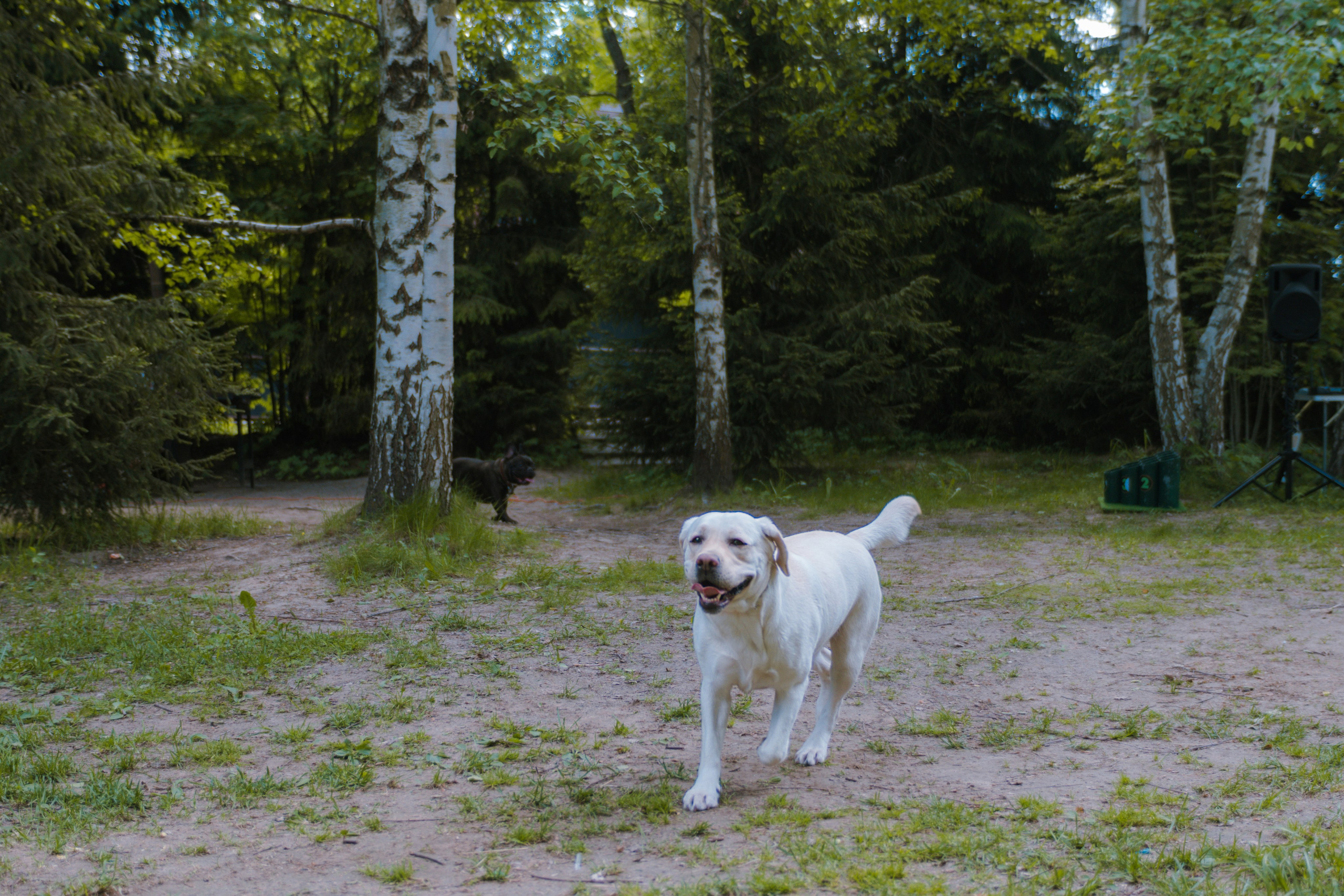 День рождения: Артём. Фотограф в Твери Дементьева Анастасия