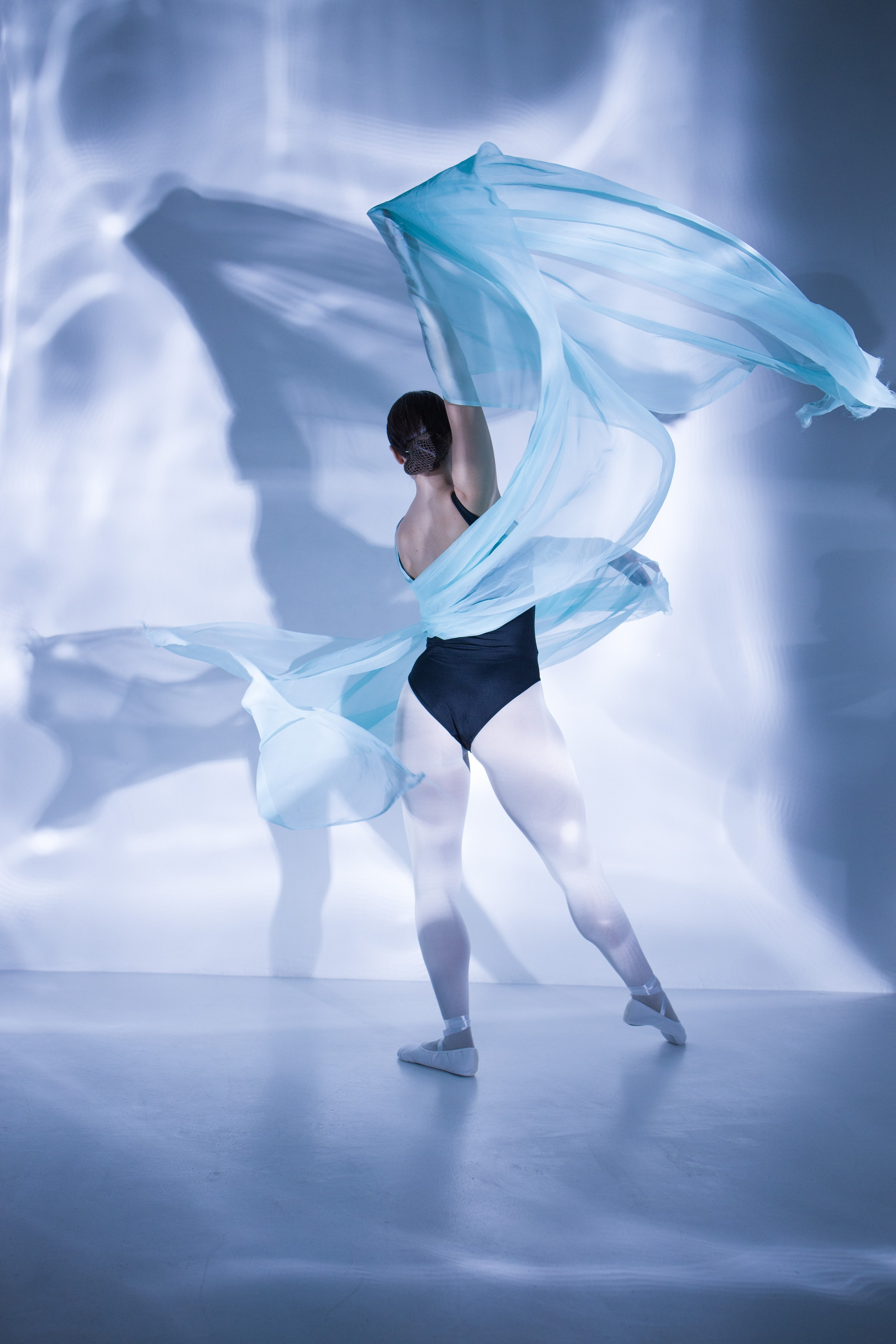 Лилия. Художественная фотография