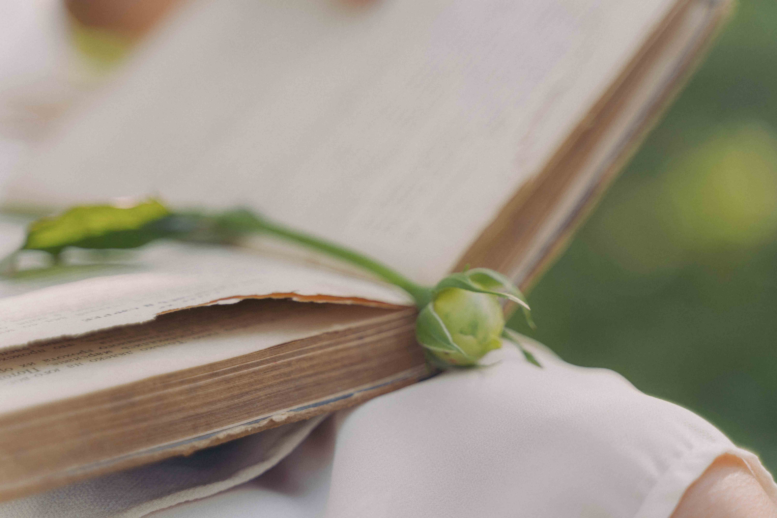 Яблоневый сад и гамак. Фотограф и видеограф в Москве и Абу Даби Мария Кулагина