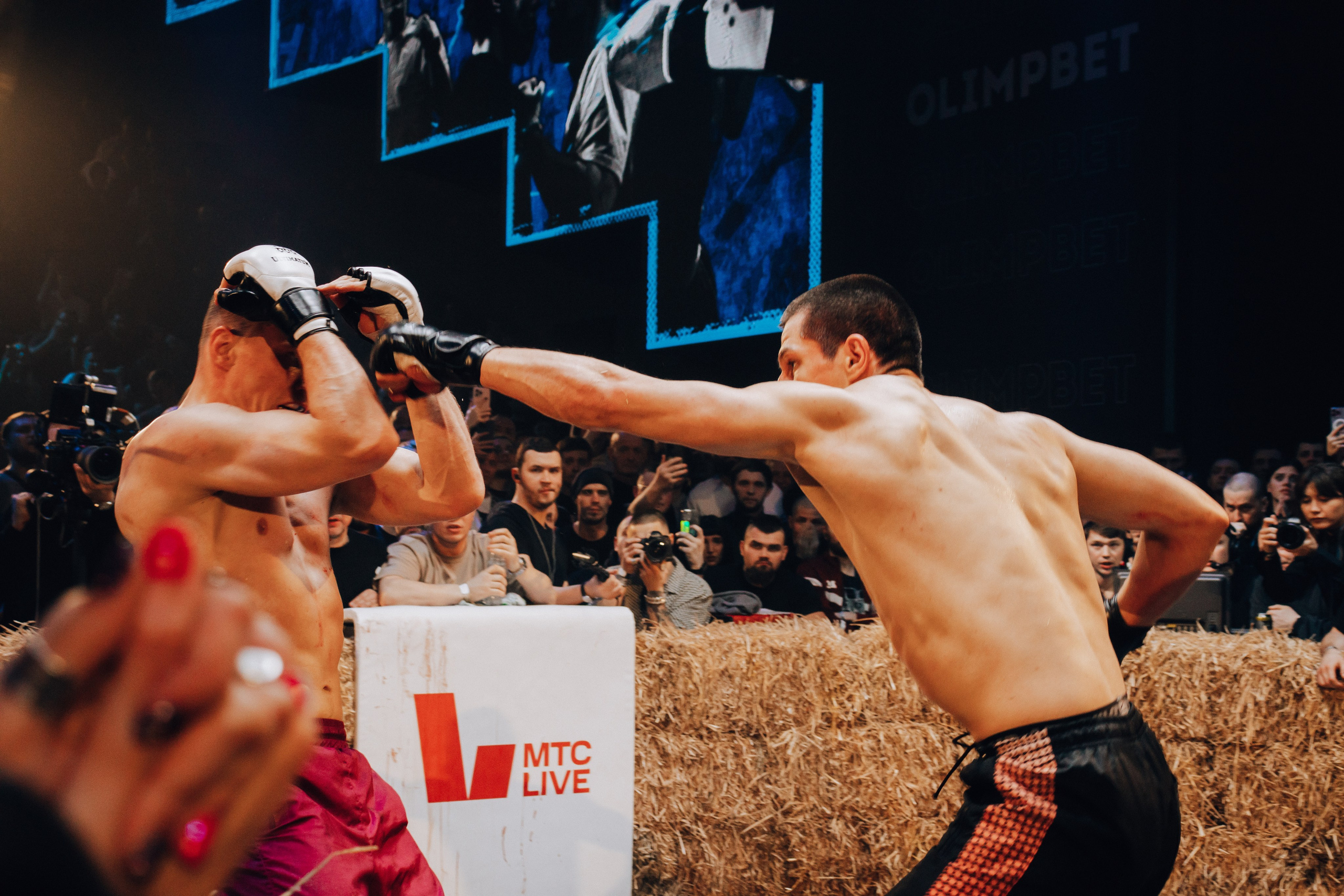 Кулачные бои TopDog. Анастасия Тен