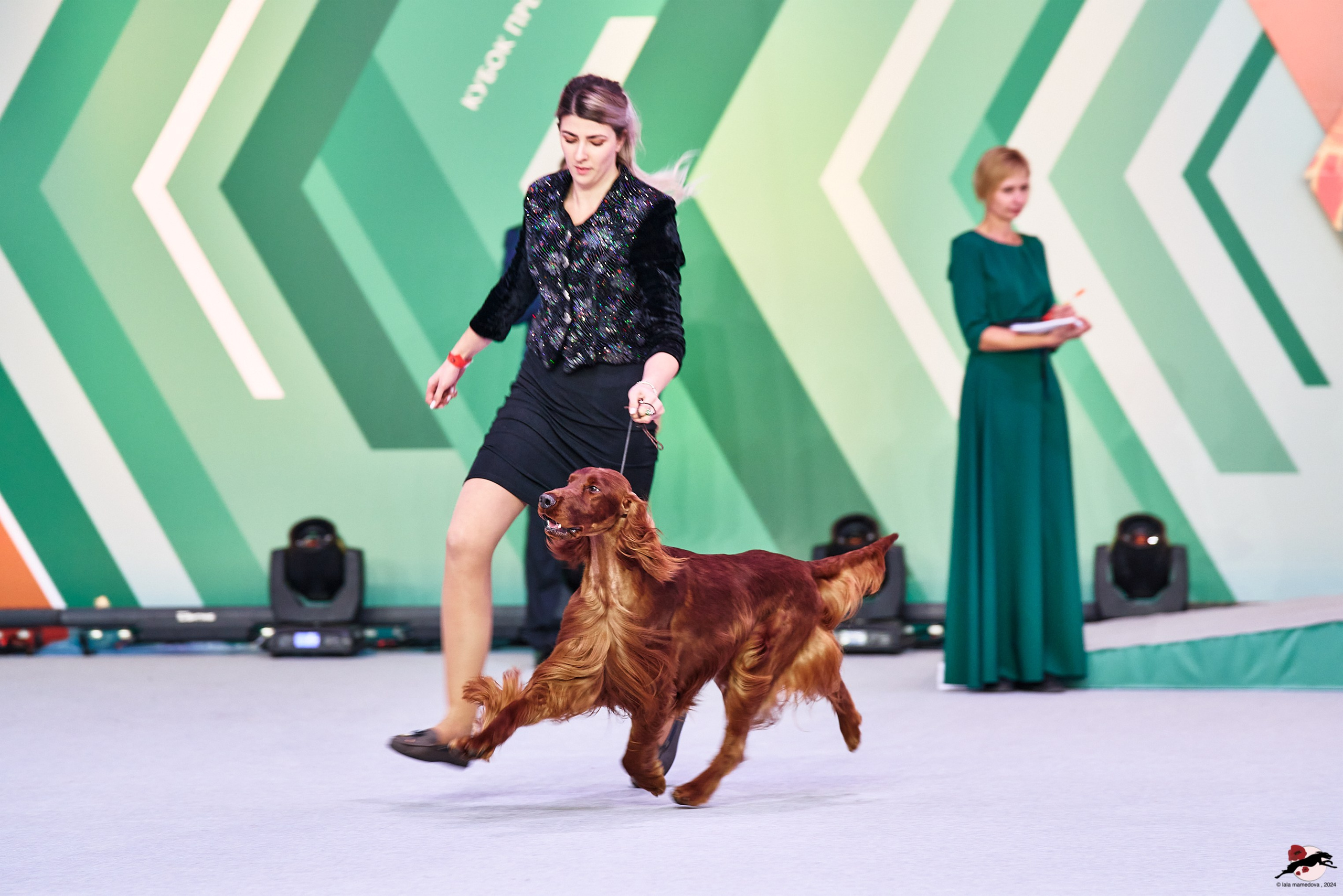 16.11.2024 «ЕВРАЗИЯ. КУБОК ПРЕЗИДЕНТА РКФ 2024»