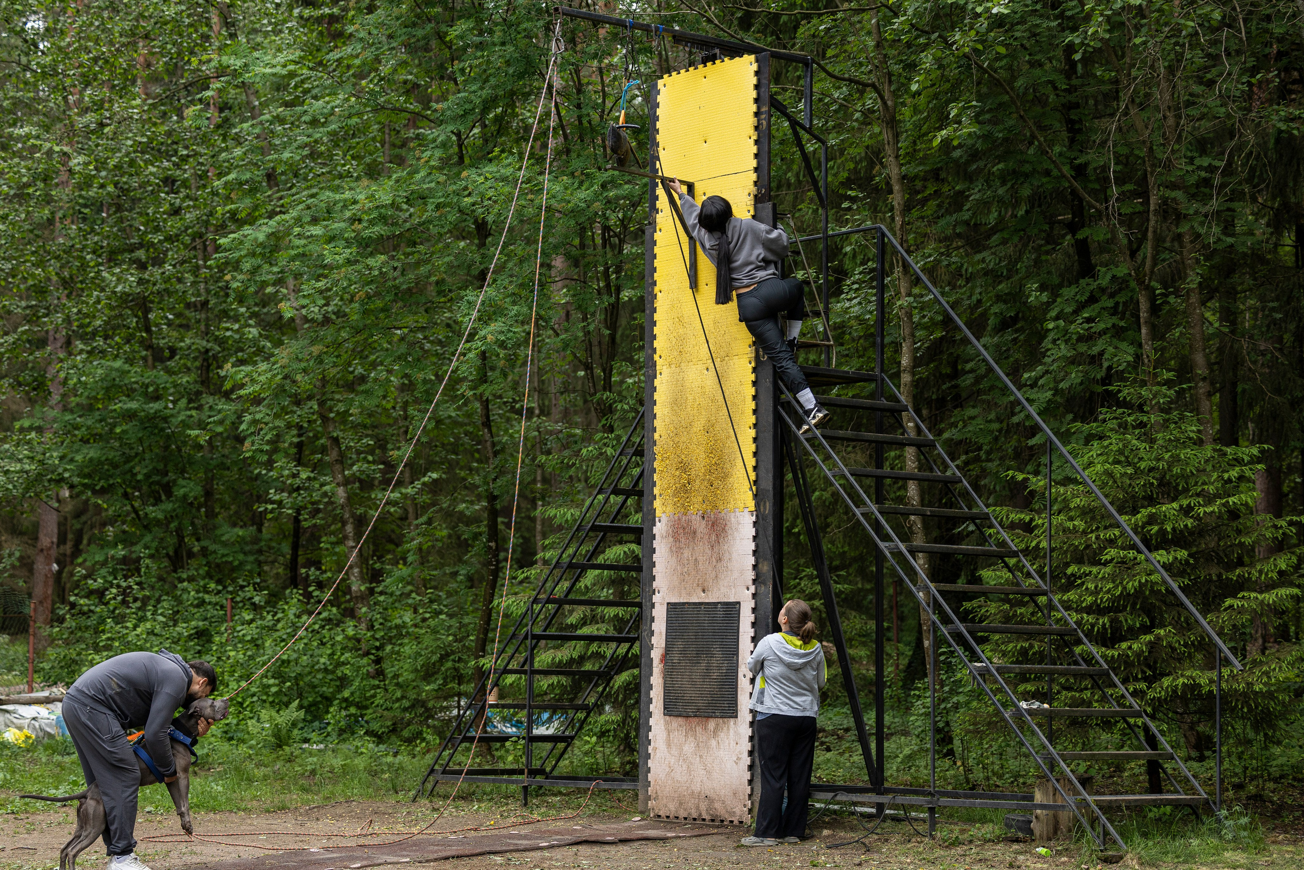 Пит-стафф многоборье. Фотограф-анималист Анна Маринич