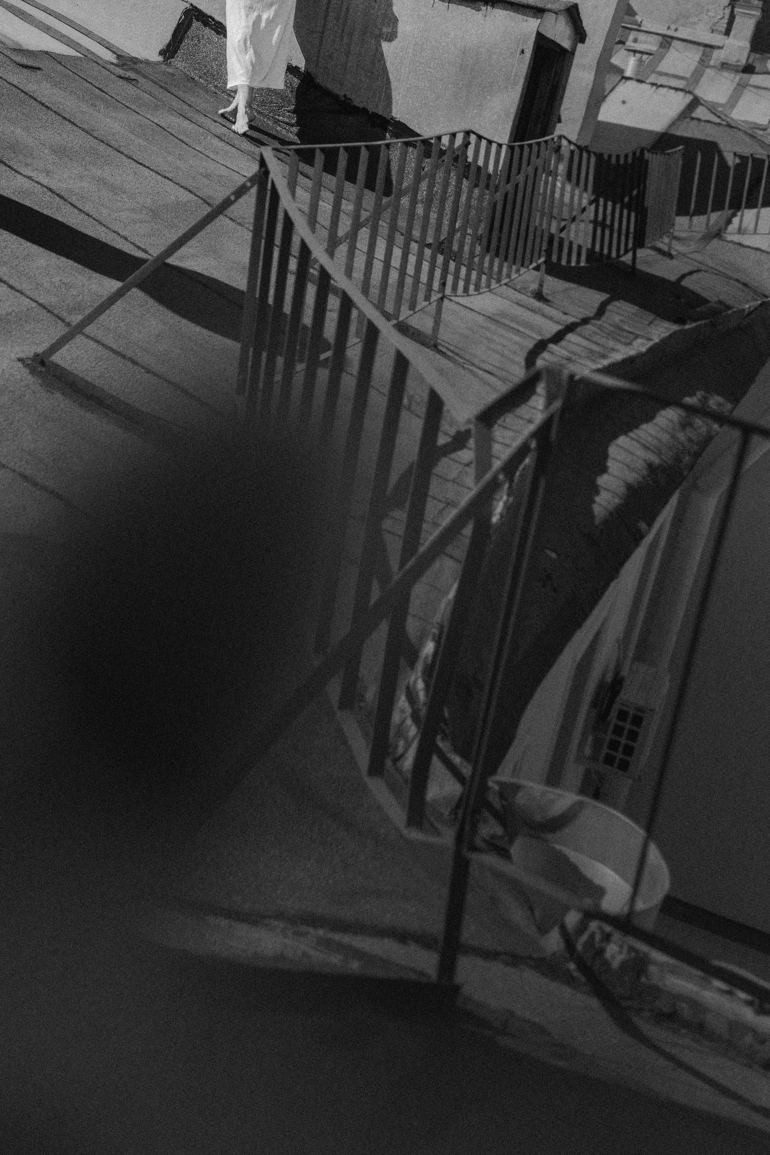 Я в л е н и е  света. Д л я Нади  ♥. Виноградова Маргарита. Фотограф P r o Явления