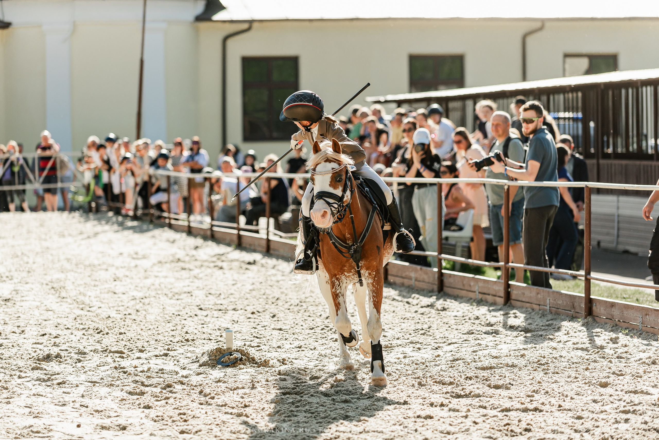 #ПОНИФОРУМ 2024. Конный фотограф Куракина Дарья • Фотосессии с лошадьми