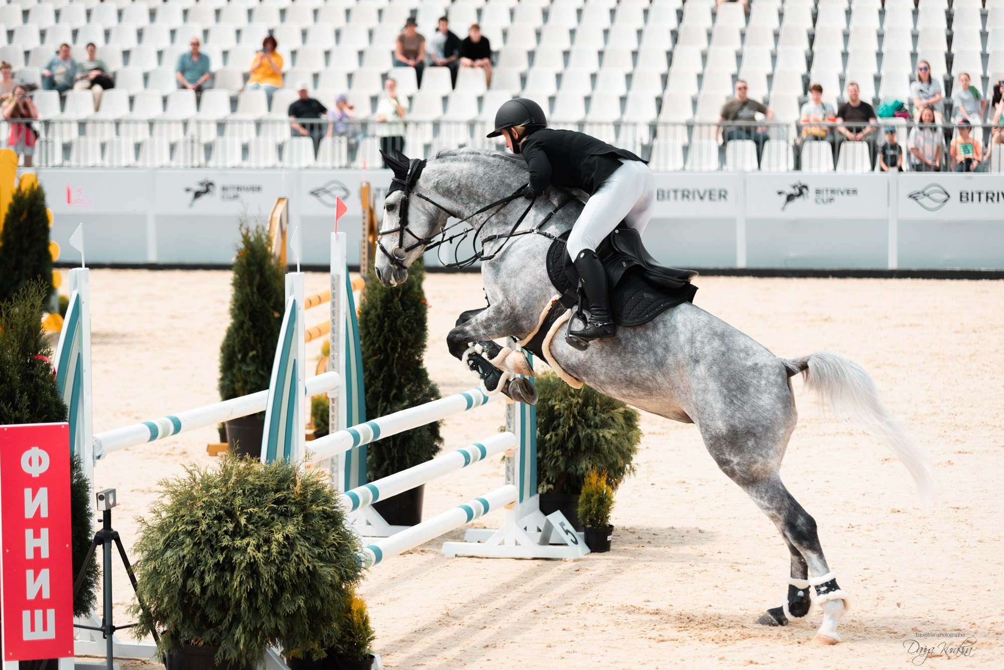 BITRIVER CUP 2023. Конный фотограф Куракина Дарья • Фотосессии с лошадьми