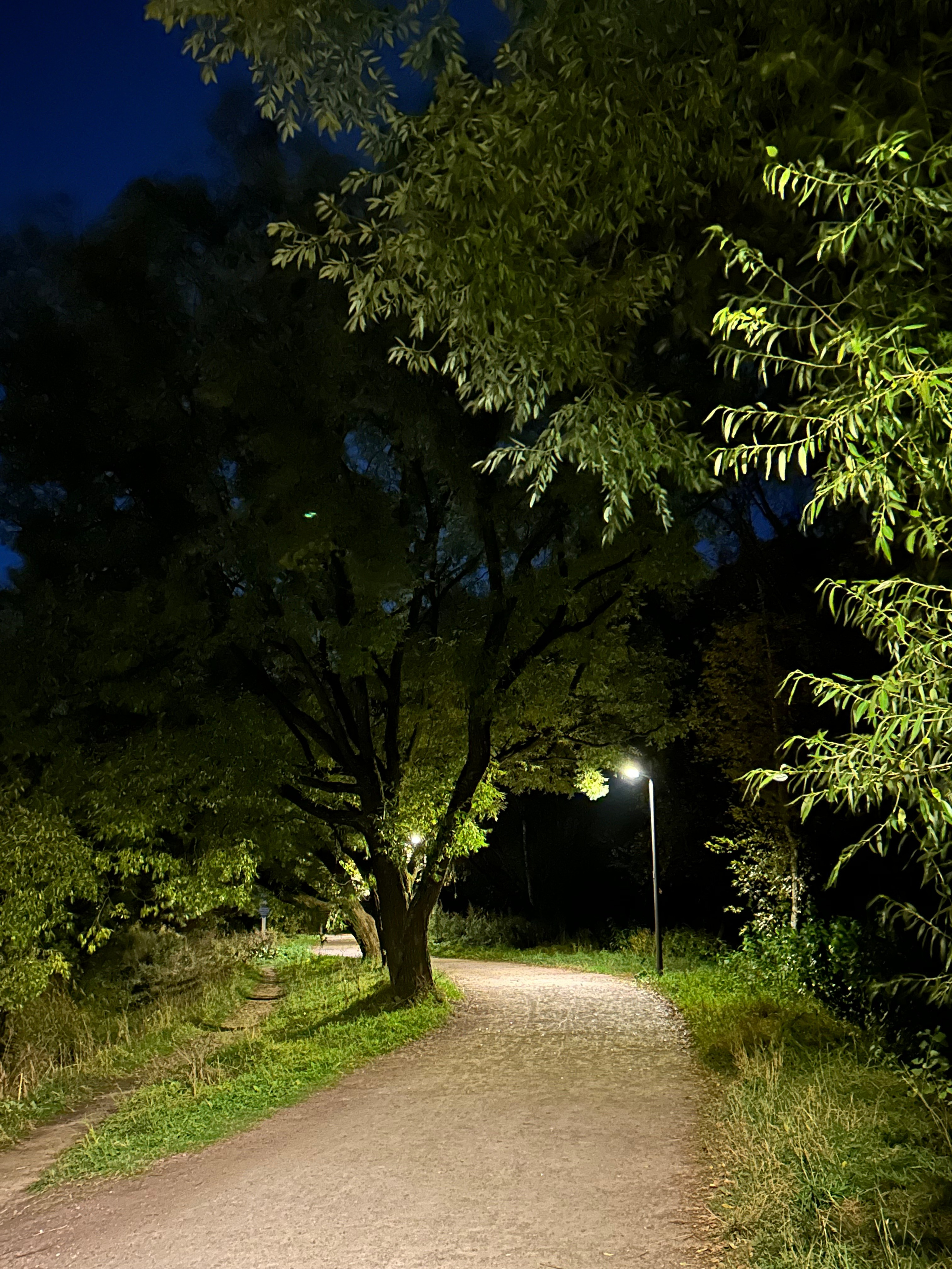 Красуйся, град Петров!. Фотокружок «Видоискатель» ГБОУ СОШ № 291