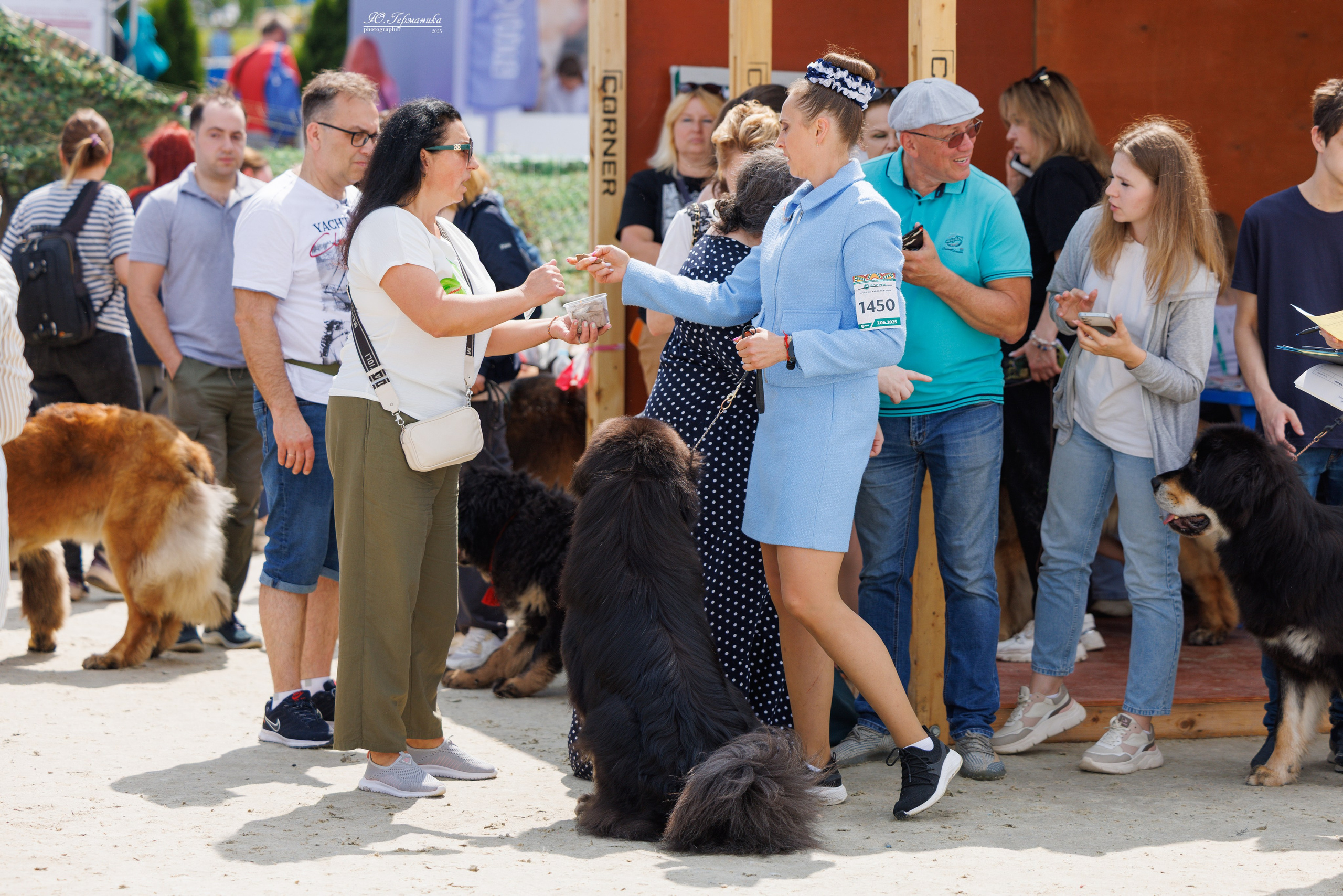 РОССИЯ 7-8.06.2025. Фотограф-анималист Юлия Германика