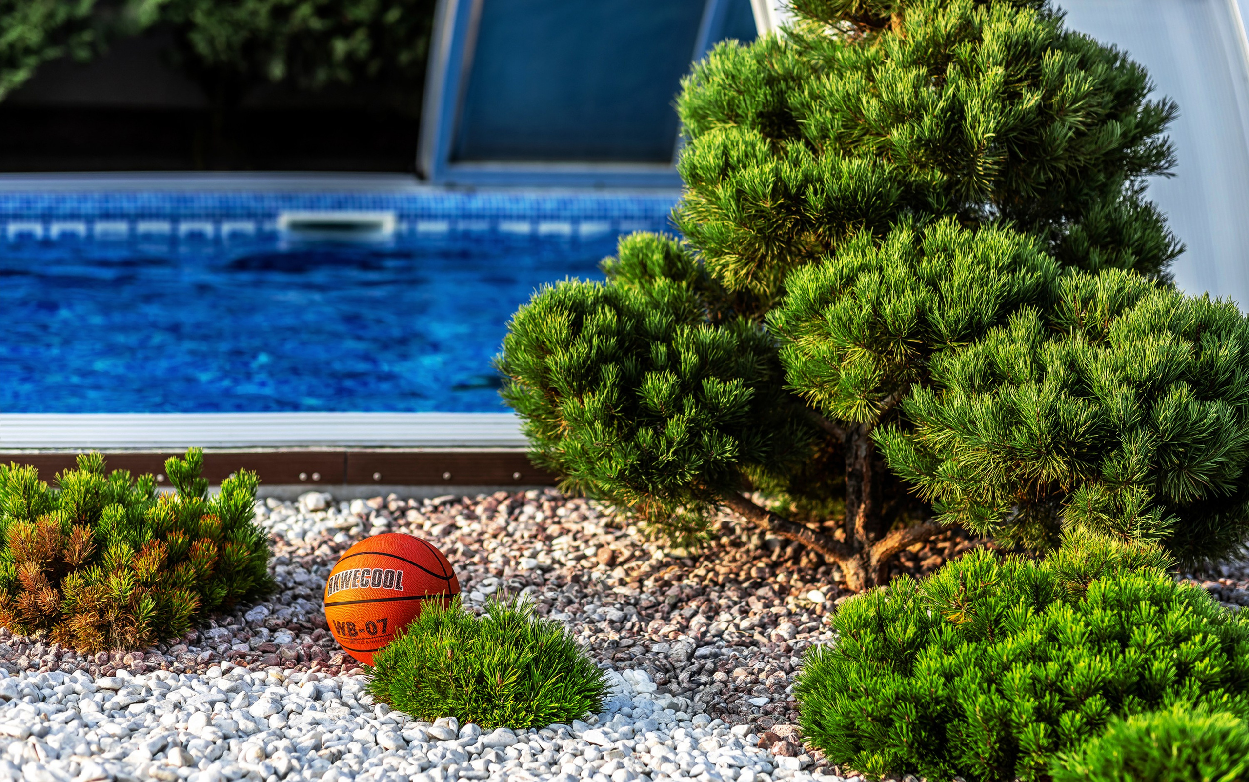 Арт-фото. Михаил Данилов | Фотограф