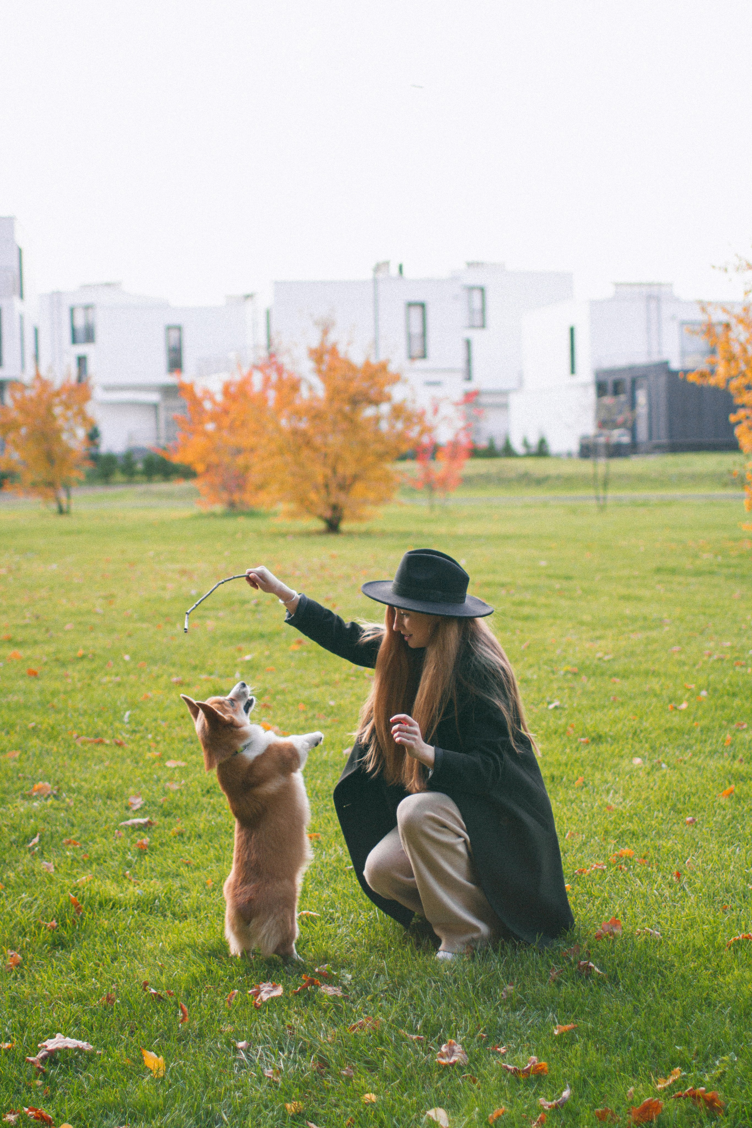 Marina & Persik. Portrait photographer in New York, Yulia Zubova