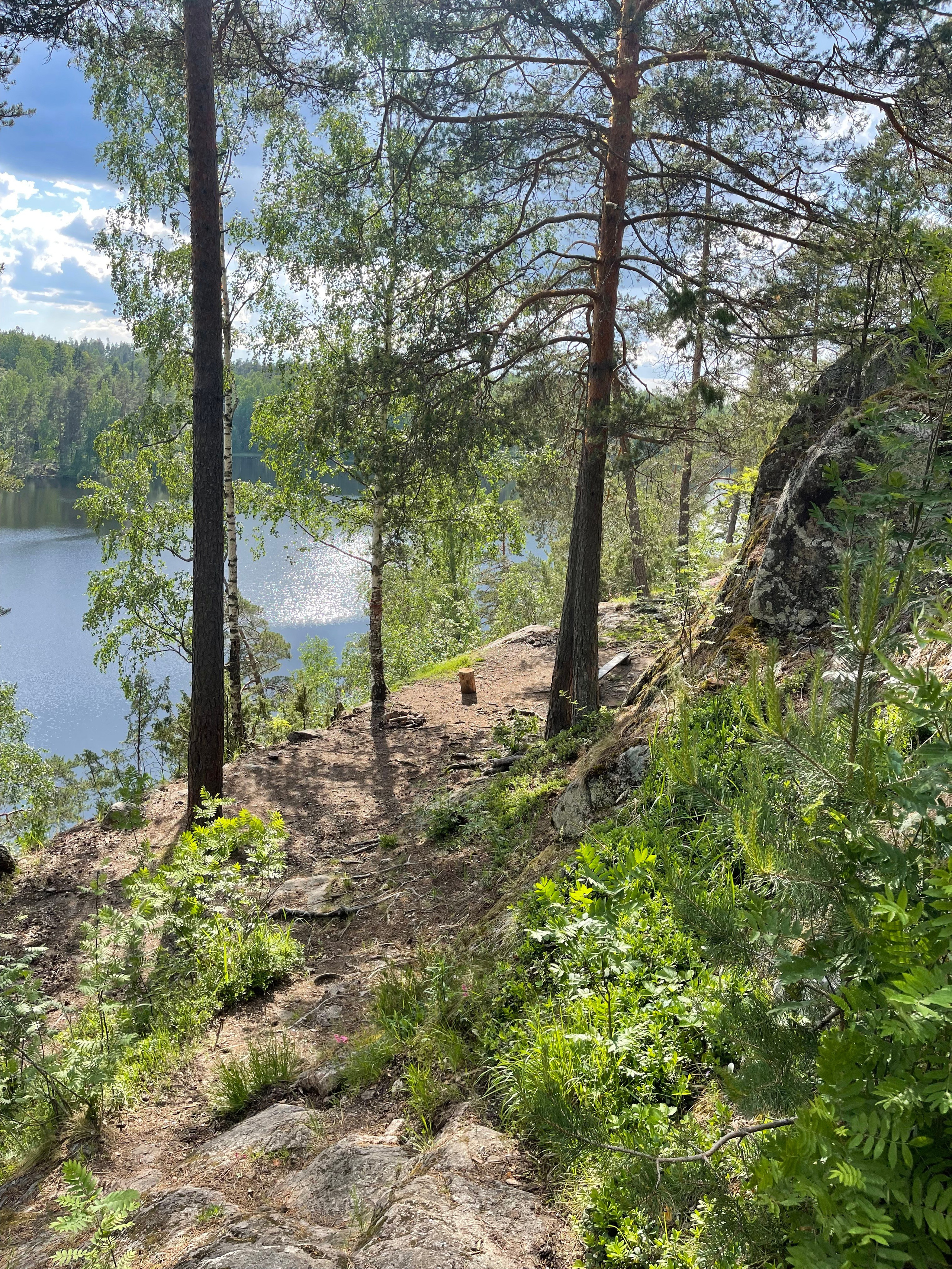 Ладога Трофи. Главная