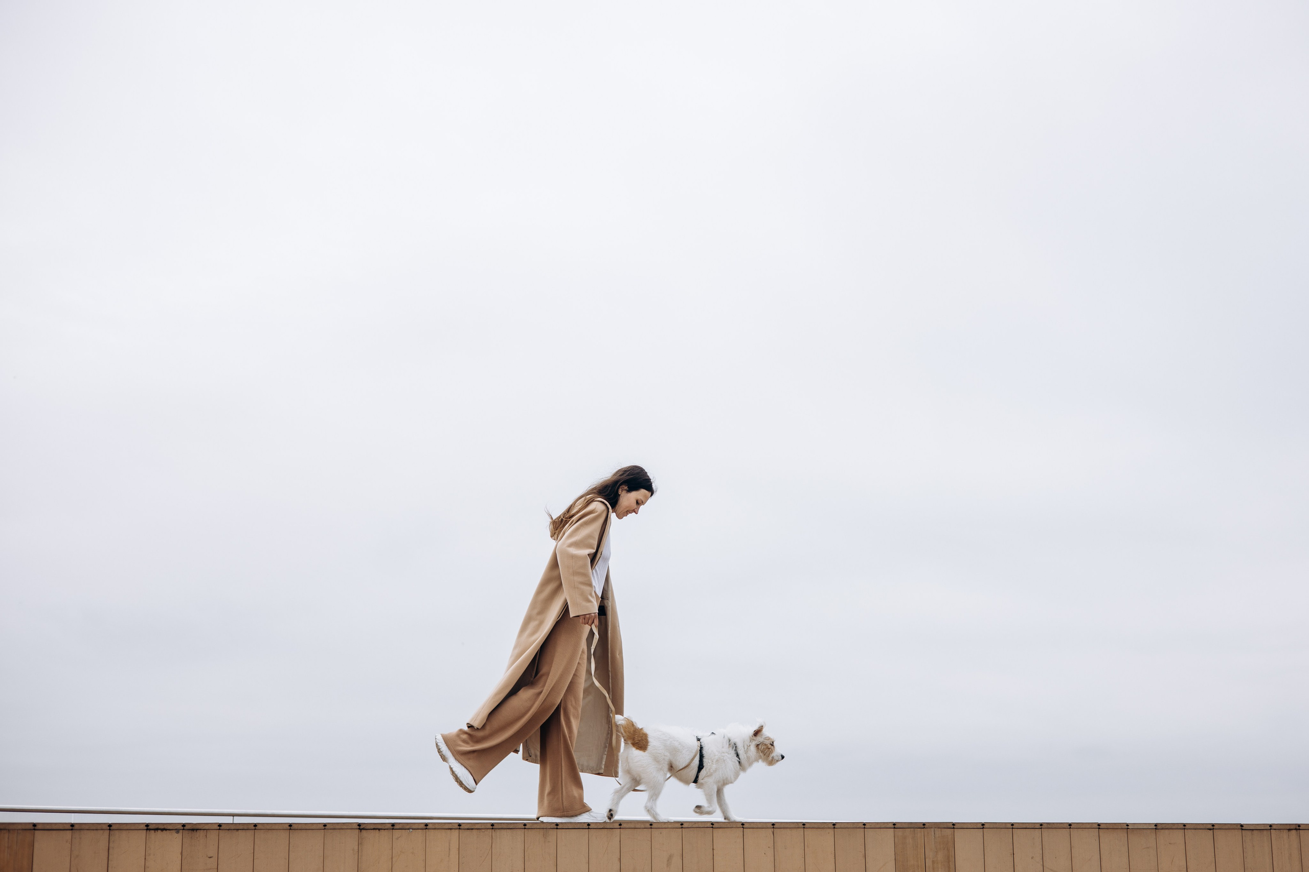 Фотограф животных Евгения Верцинская