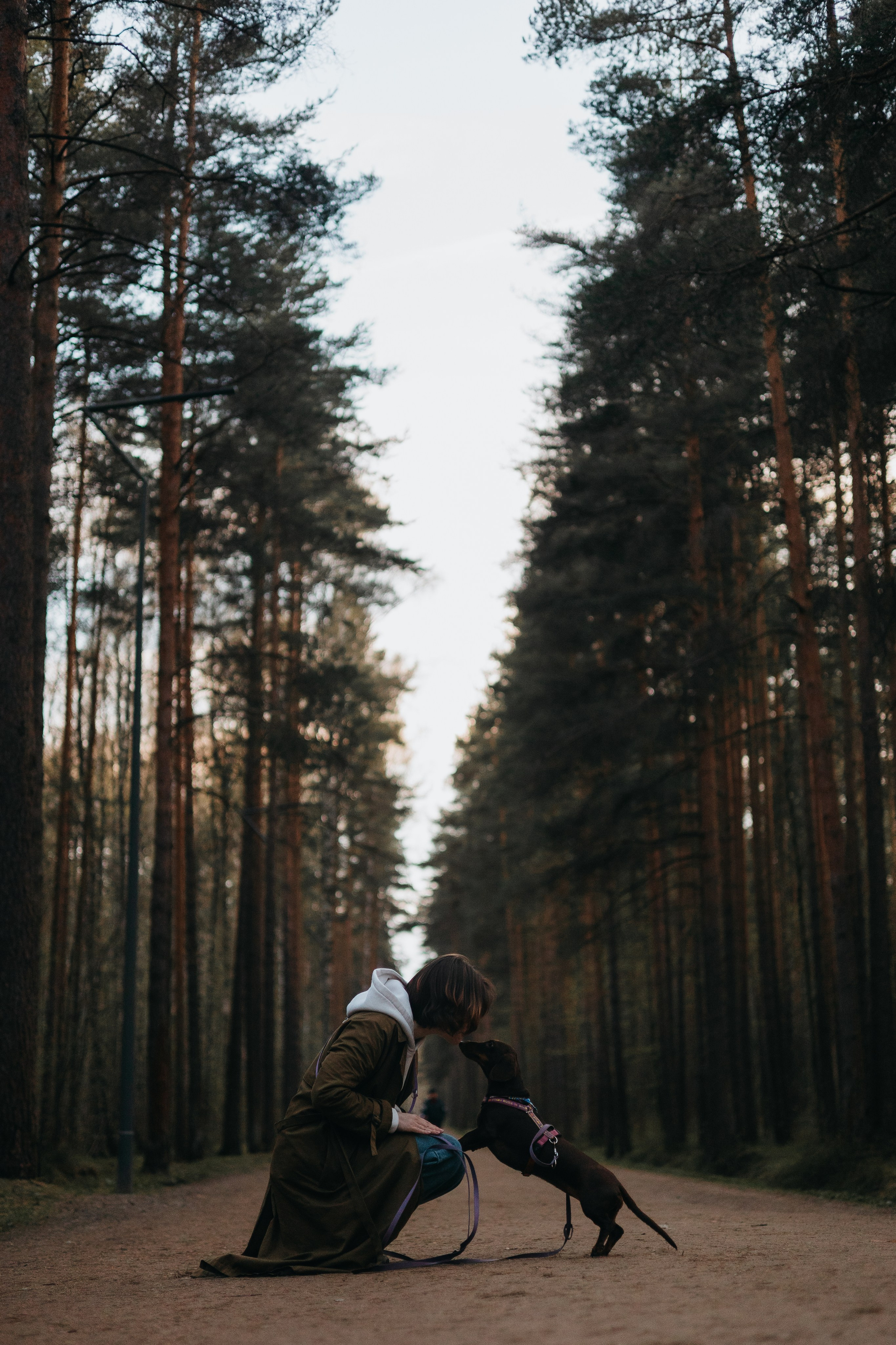 Фотограф животных Евгения Верцинская