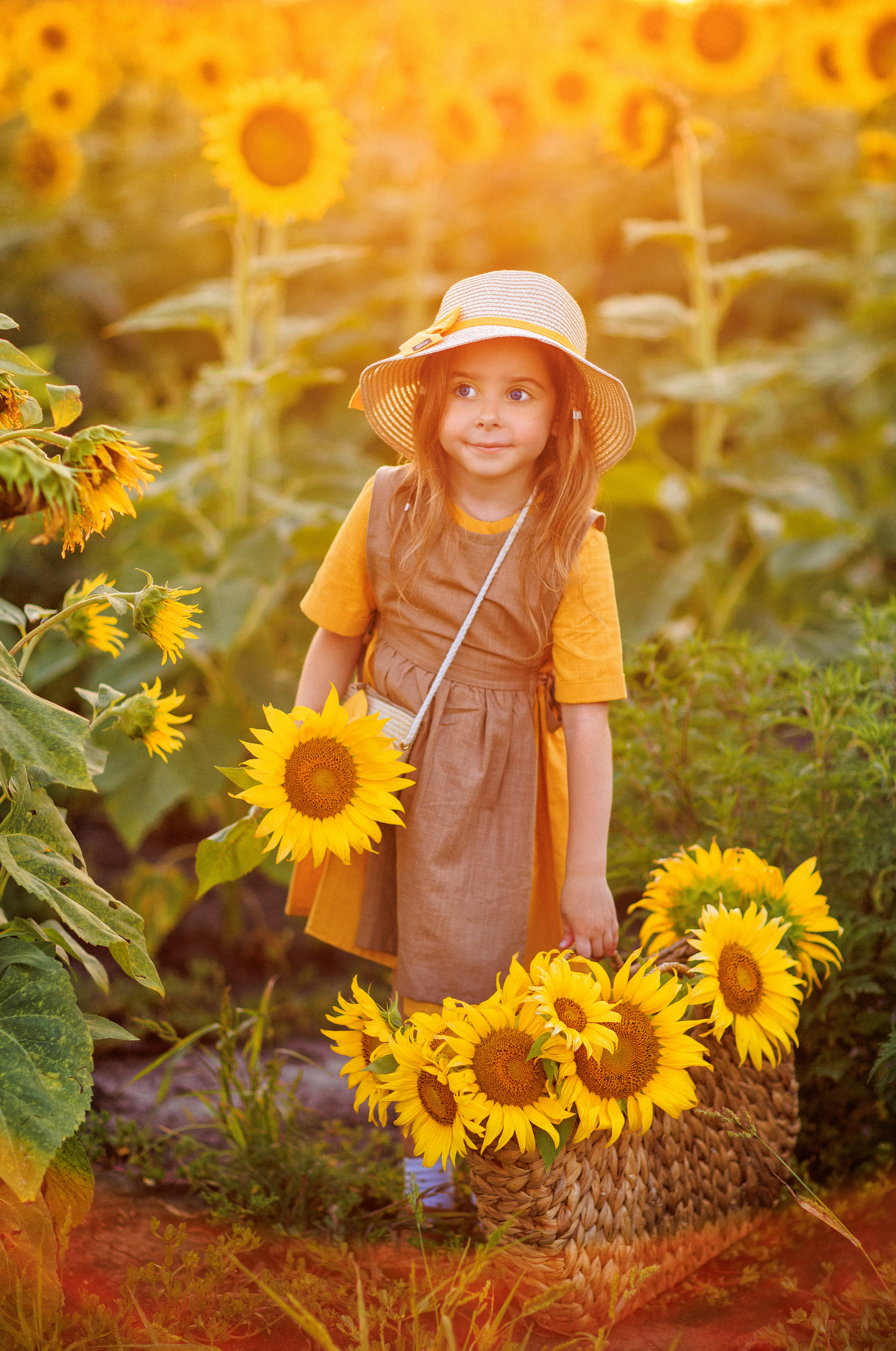 Фотосессия в подсолнухах в Краснодаре. Семейный и детский фотограф в Краснодаре Анна Трашкова