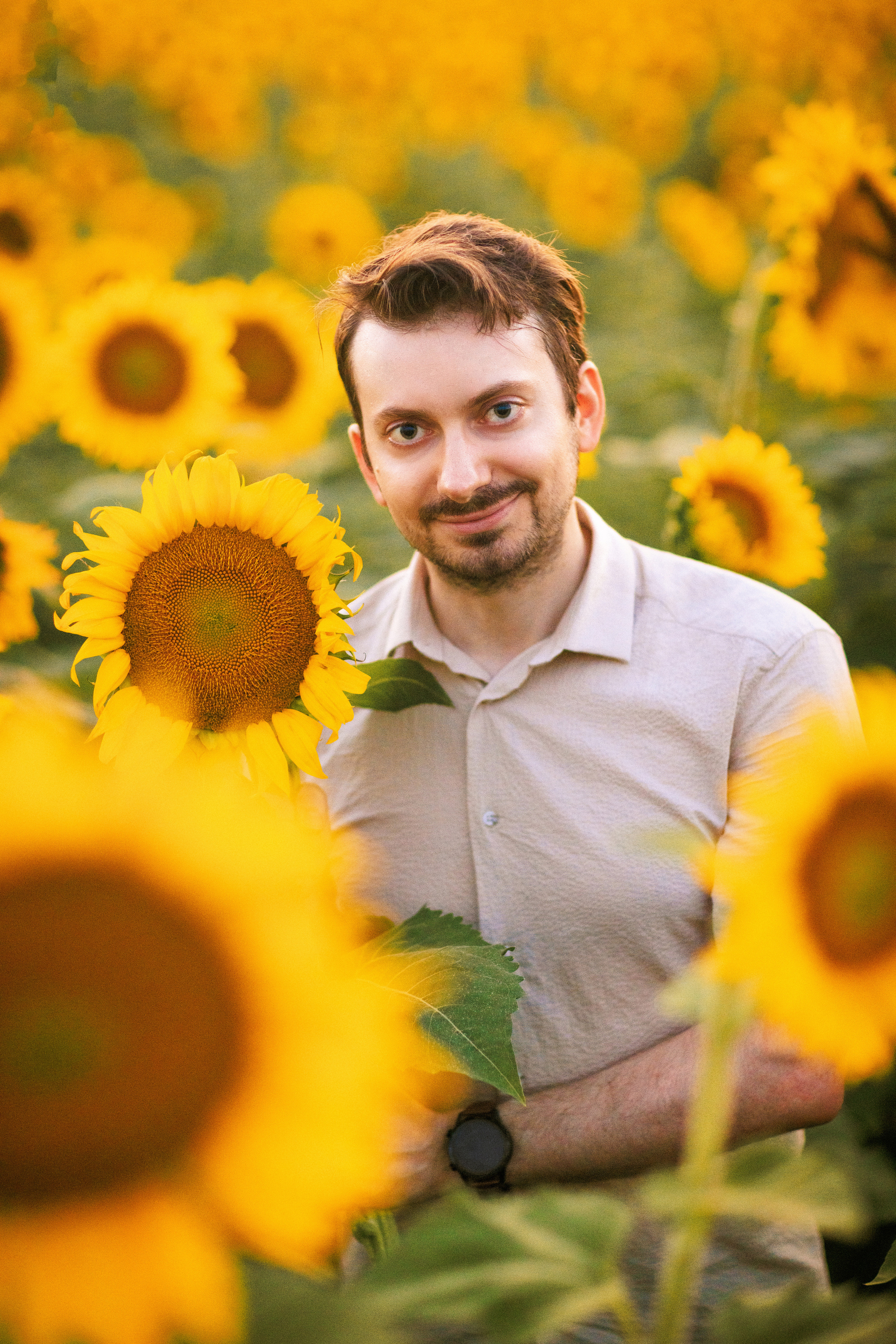 Фотосессия в подсолнухах в Краснодаре. Семейный и детский фотограф в Краснодаре Анна Трашкова