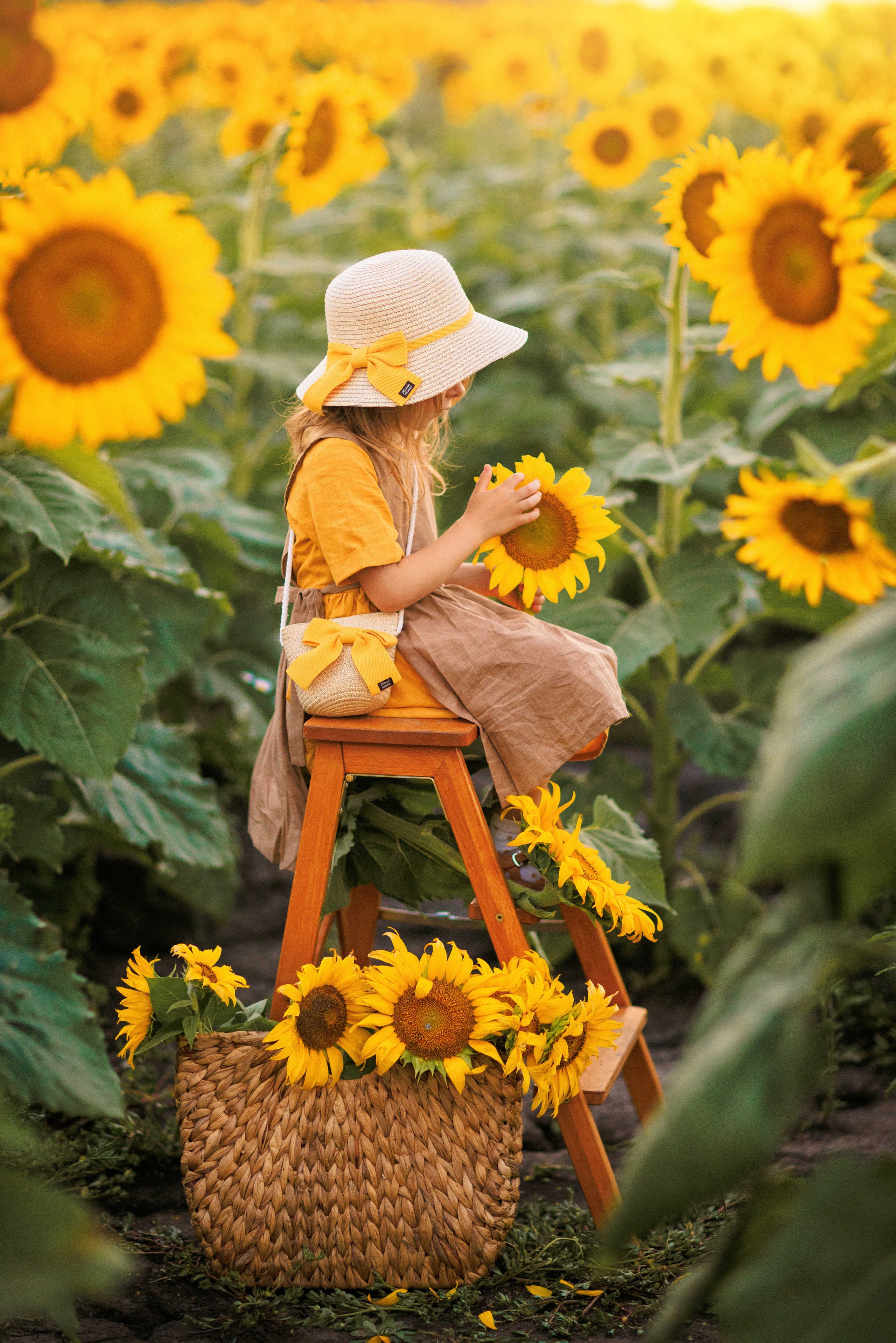 Фотосессия в подсолнухах в Краснодаре. Семейный и детский фотограф в Краснодаре Анна Трашкова