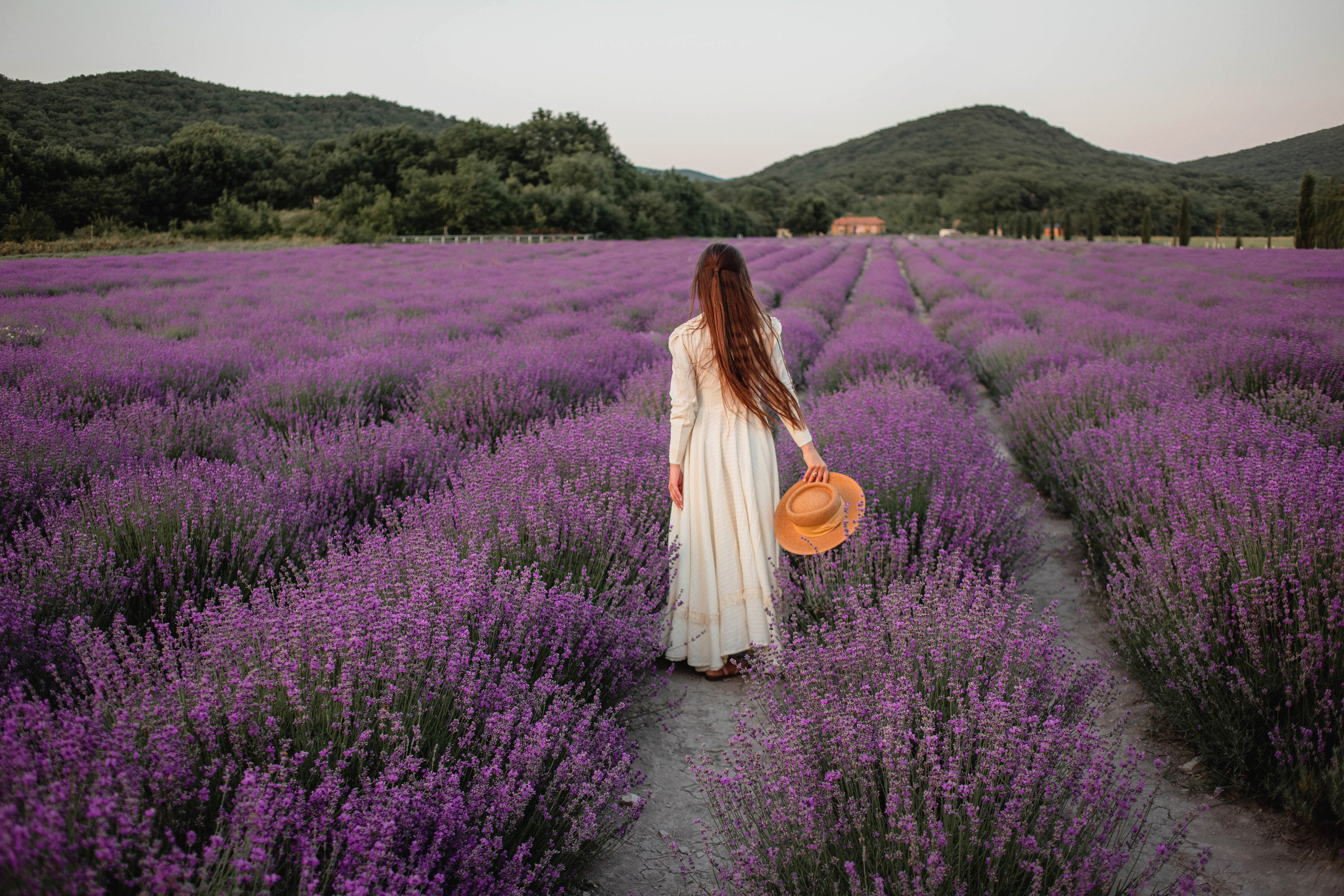 Лаванда, лаванда. Фотограф в Краснодаре Евгения Михаевич