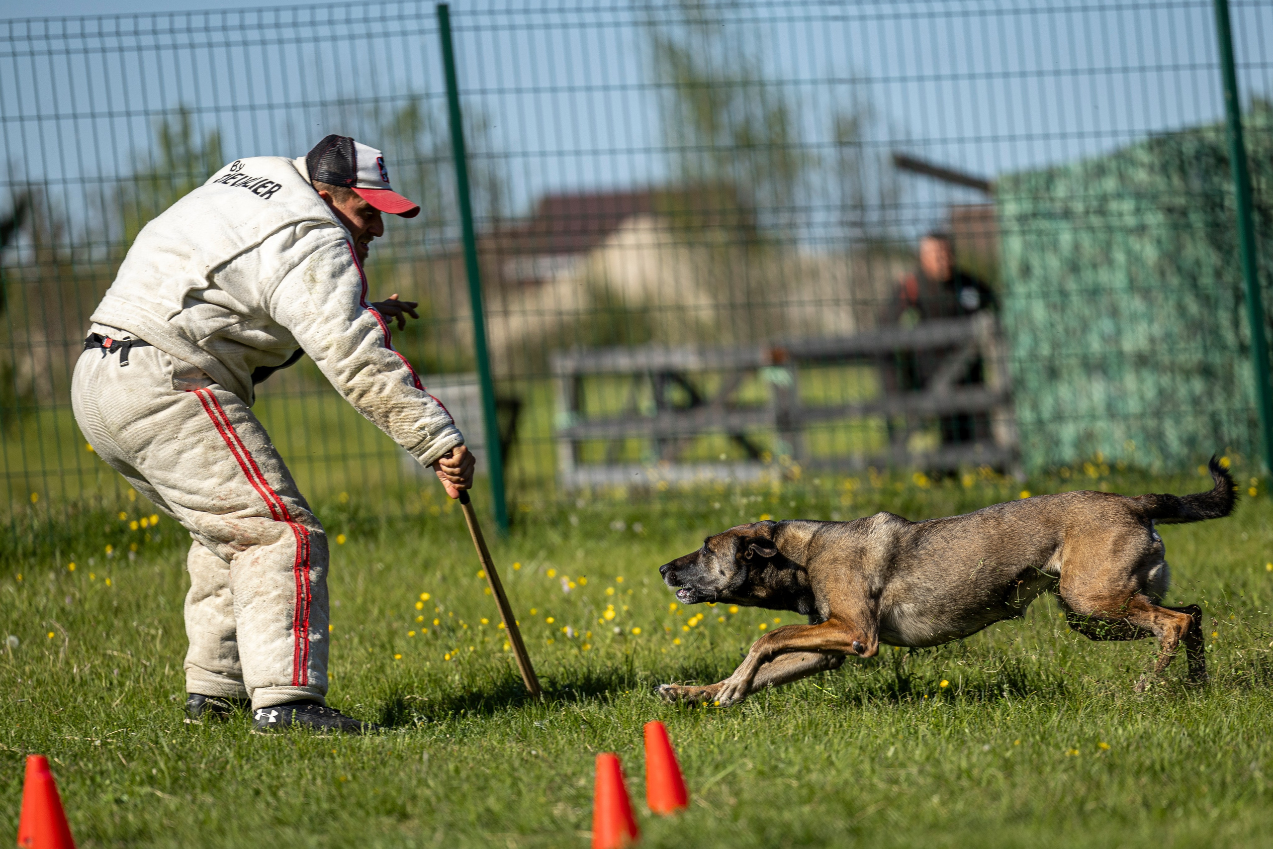 Испытания по мондьорингу в Нижнем Новгороде. Фотограф-анималист Анна Маринич