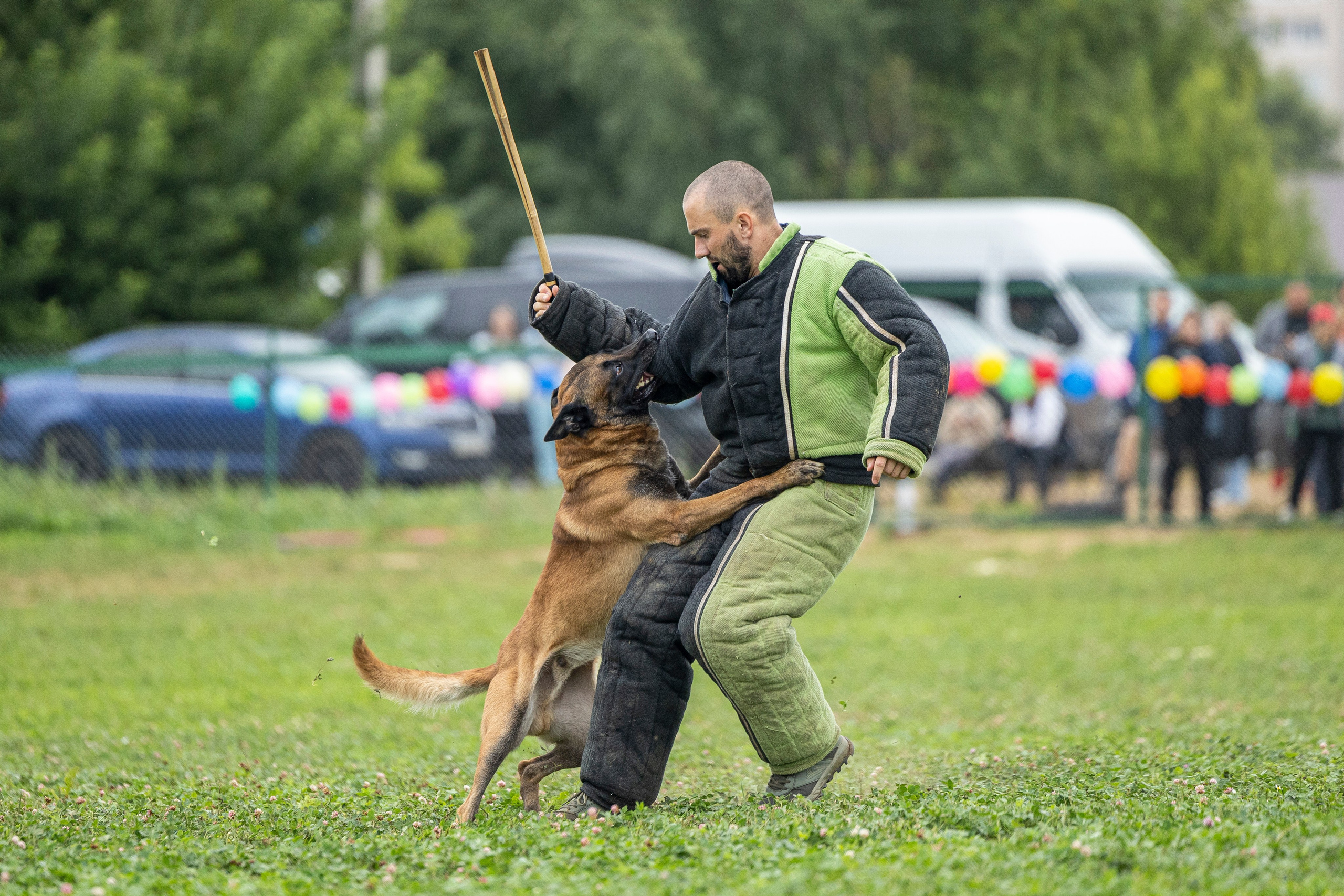Соревнования по Мондьорингу г. Вологда 10-11.08.2024. Фотограф-анималист Анна Маринич
