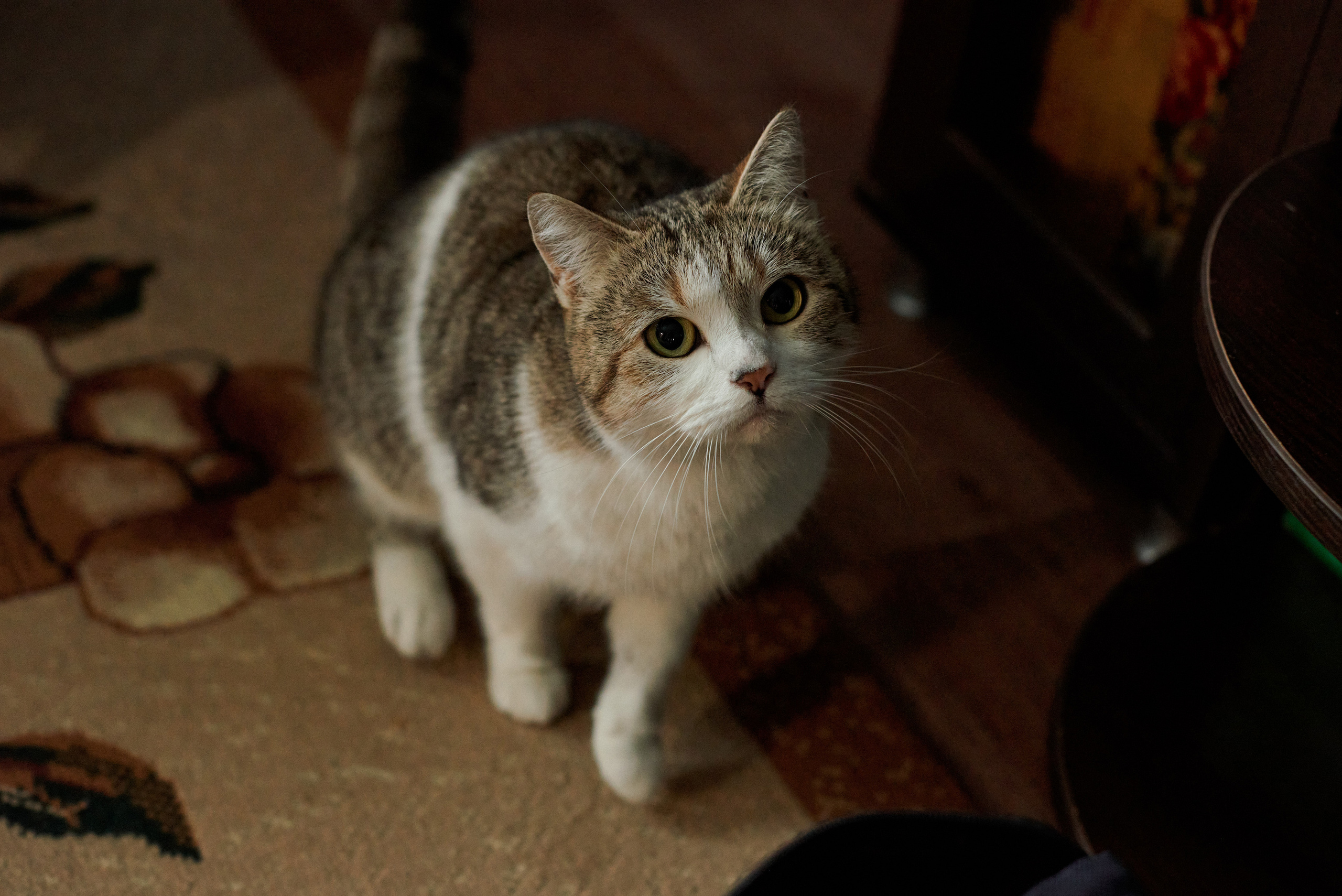 Свадьба Владимира и Евгении. Свадебный, семейный, детский фотограф в Острогожске Татьяна Волошина