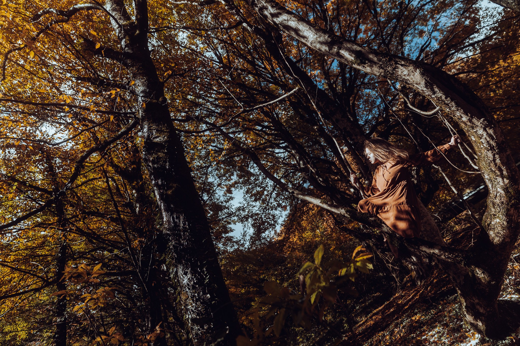 Лесные феи. Фотограф в Москве портреты | репортажи | спорт