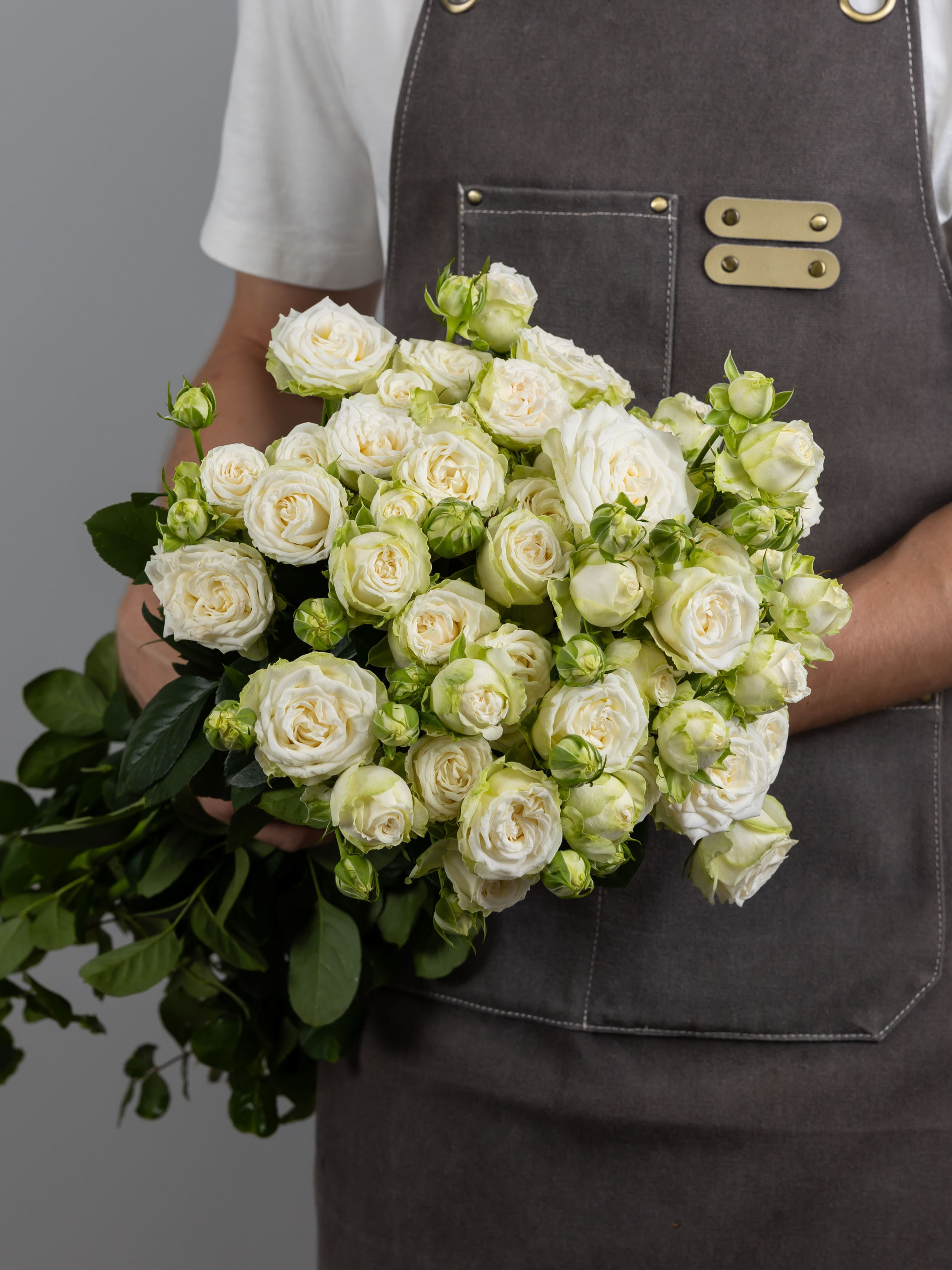 04.08.2025 Фотосессия сортов Цветополис. ФОТОГРАФ ВИНОГРАДОВА ДАРЬЯ