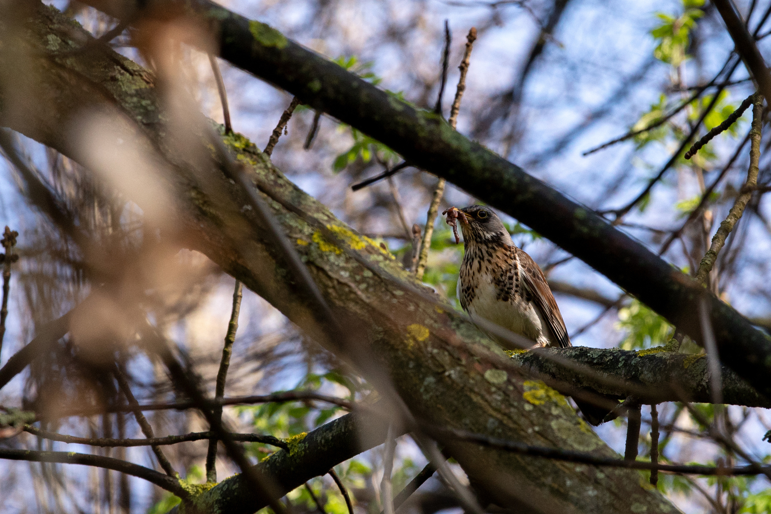 Параллельная вселенная. Фотограф Анна Зиновьева