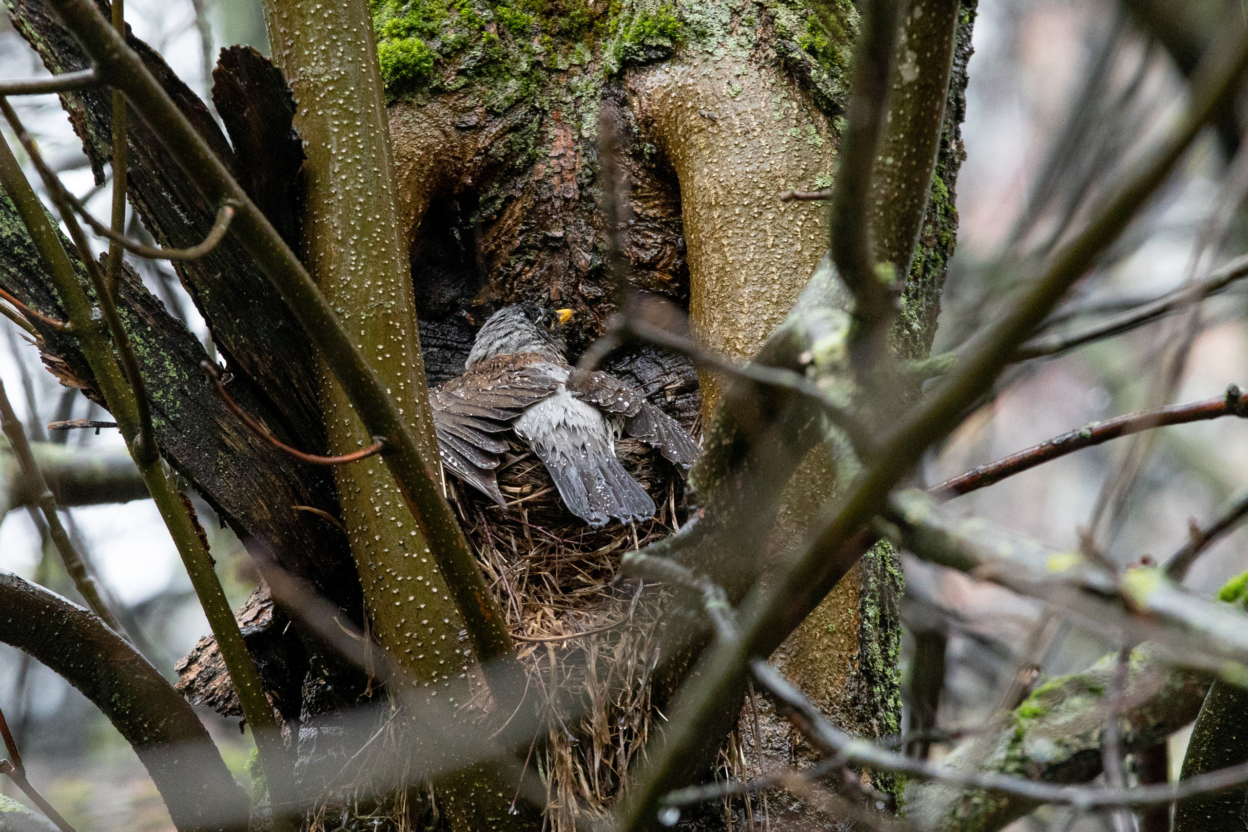 Параллельная вселенная. Фотограф Анна Зиновьева