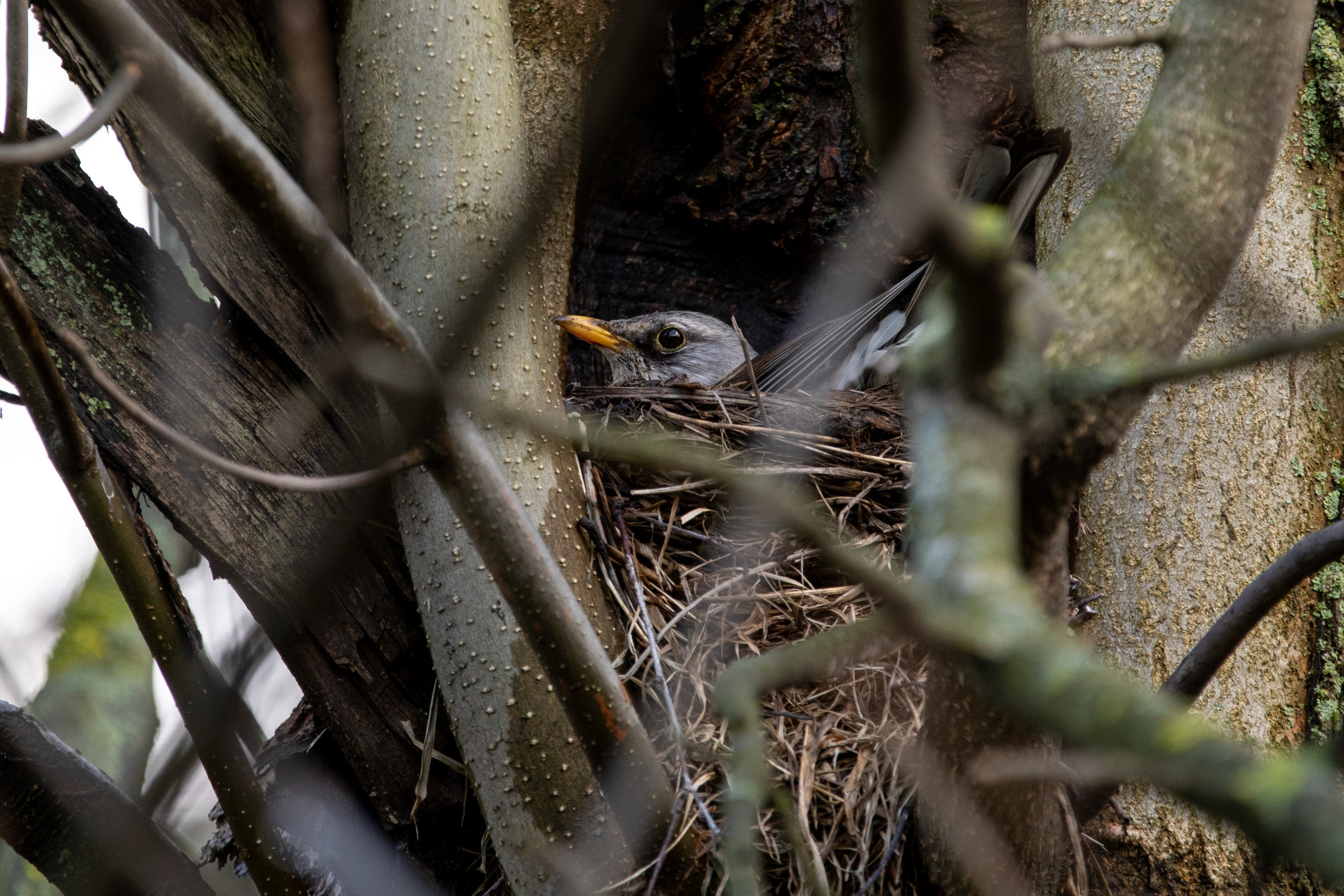 Параллельная вселенная. Фотограф Анна Зиновьева