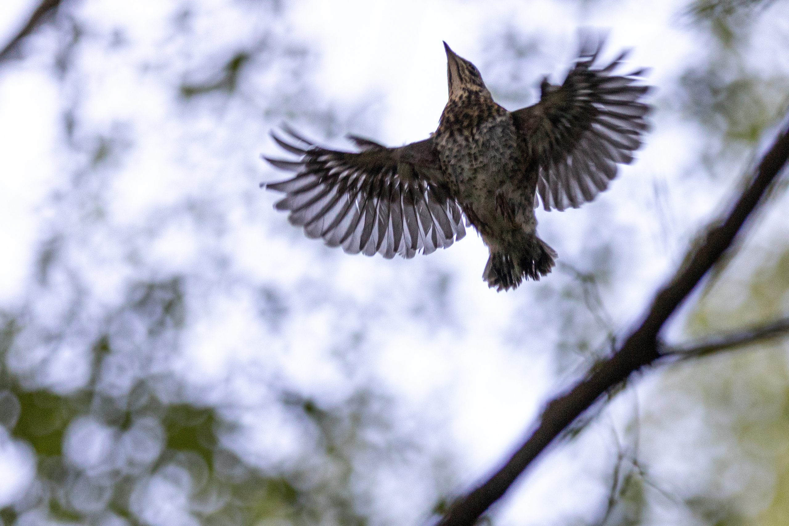 Параллельная вселенная. Фотограф Анна Зиновьева