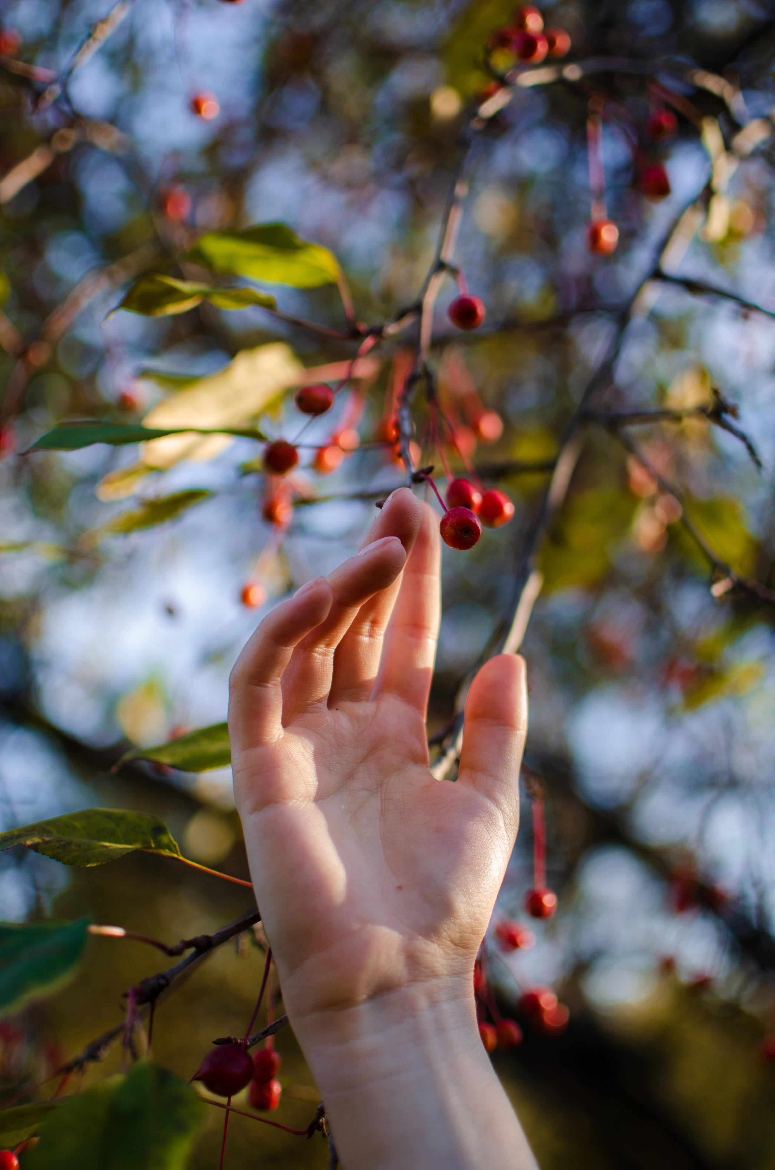 Женский портрет. Фотограф в Омске Елизавета Кириллова