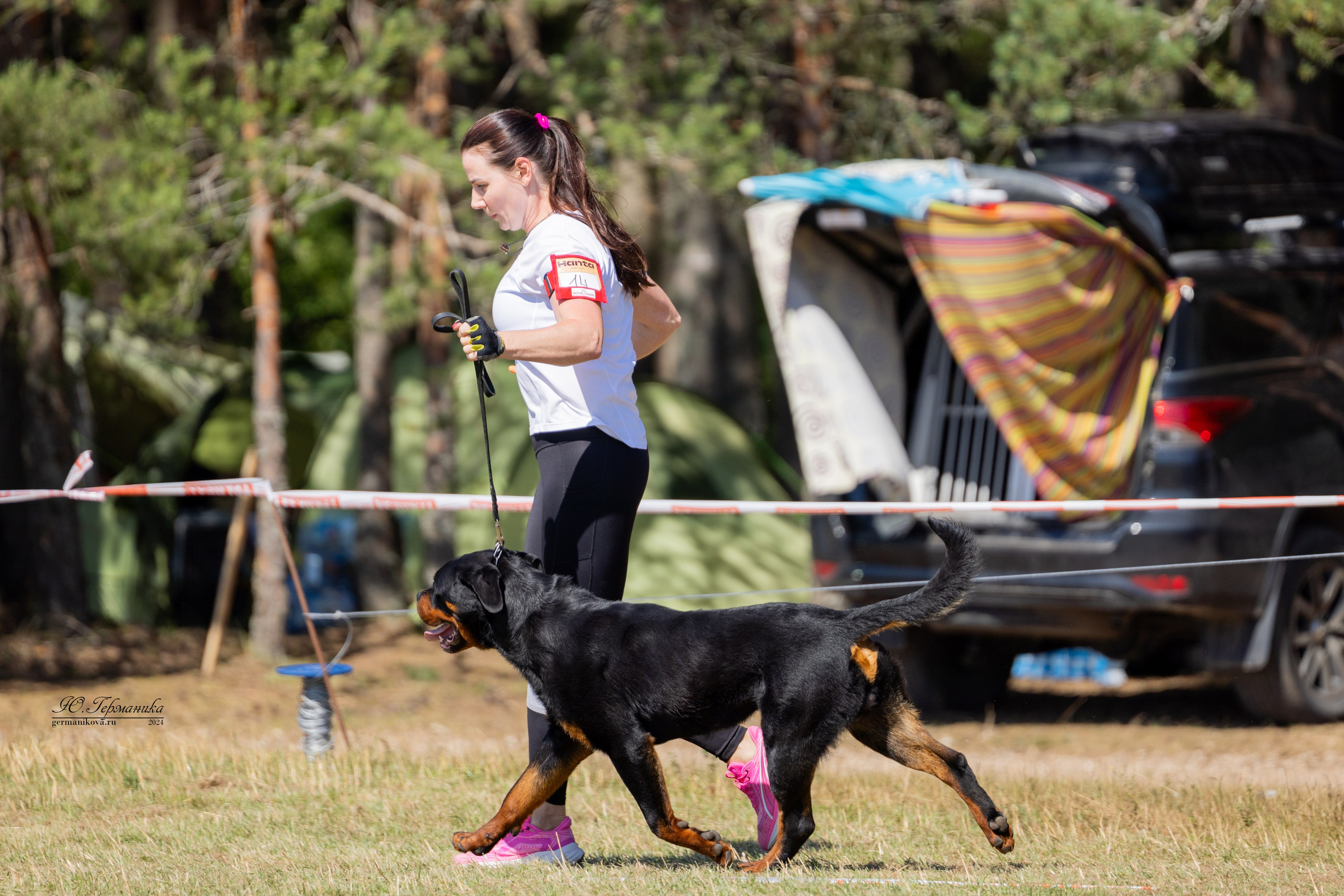 ПК и КЧК ротвейлеры Тверь 6-7.07.2024. Фотограф-анималист Юлия Германика
