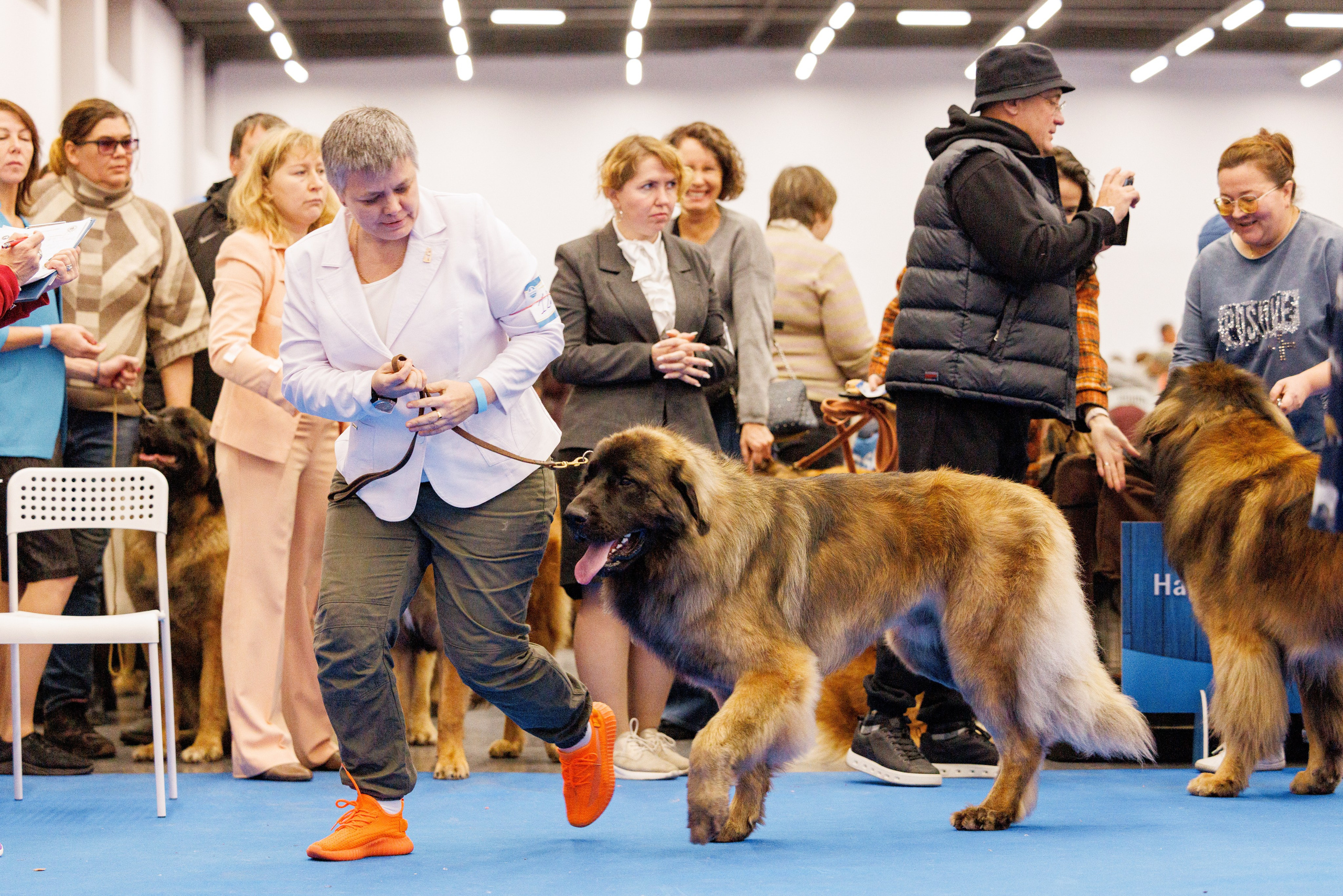 Нижний Новгород 21-22.10.2023. Фотограф-анималист Юлия Германика