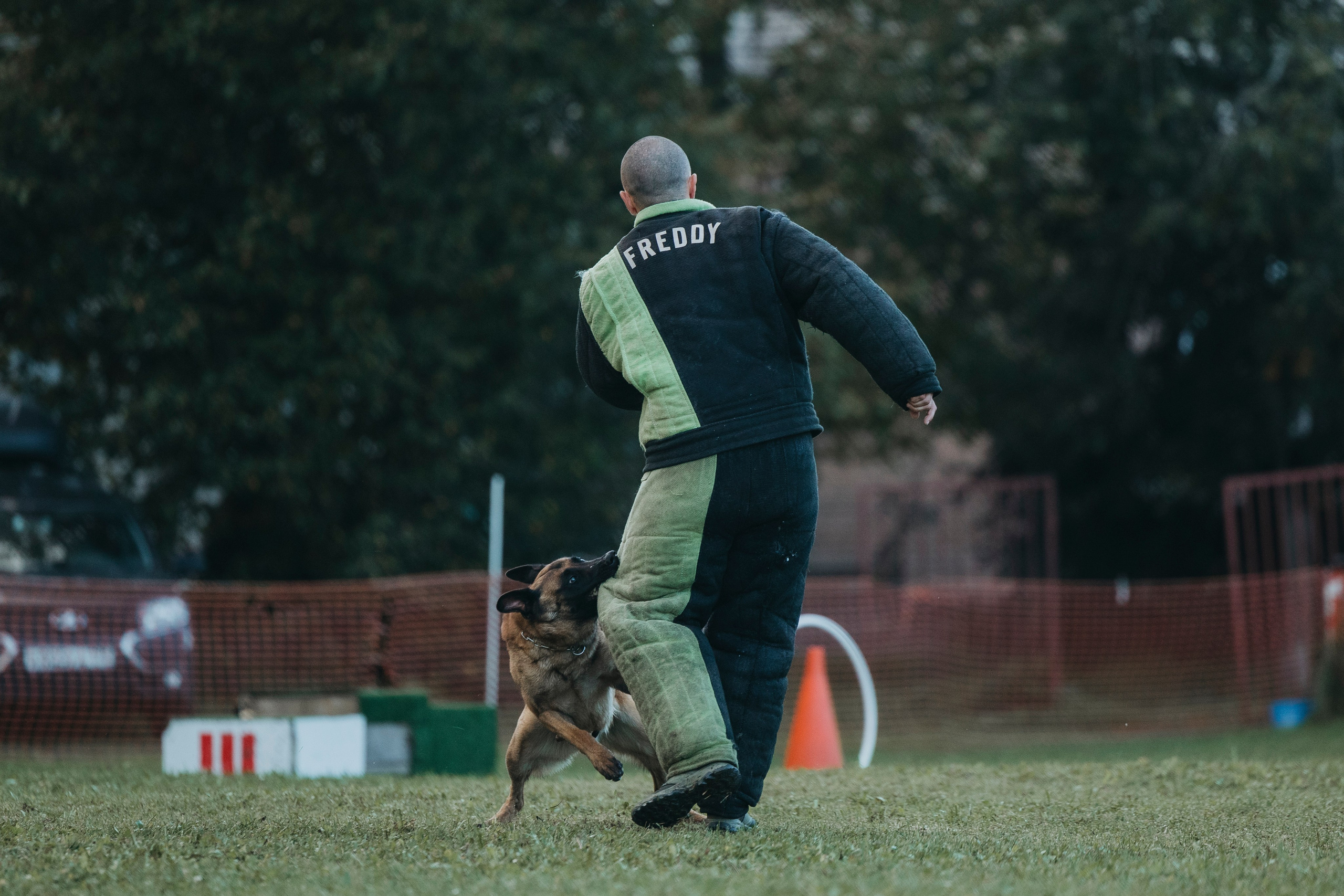 Испытания по мондьорингу г. Пушкин 29.09.2024. Фотограф-анималист Анна Маринич