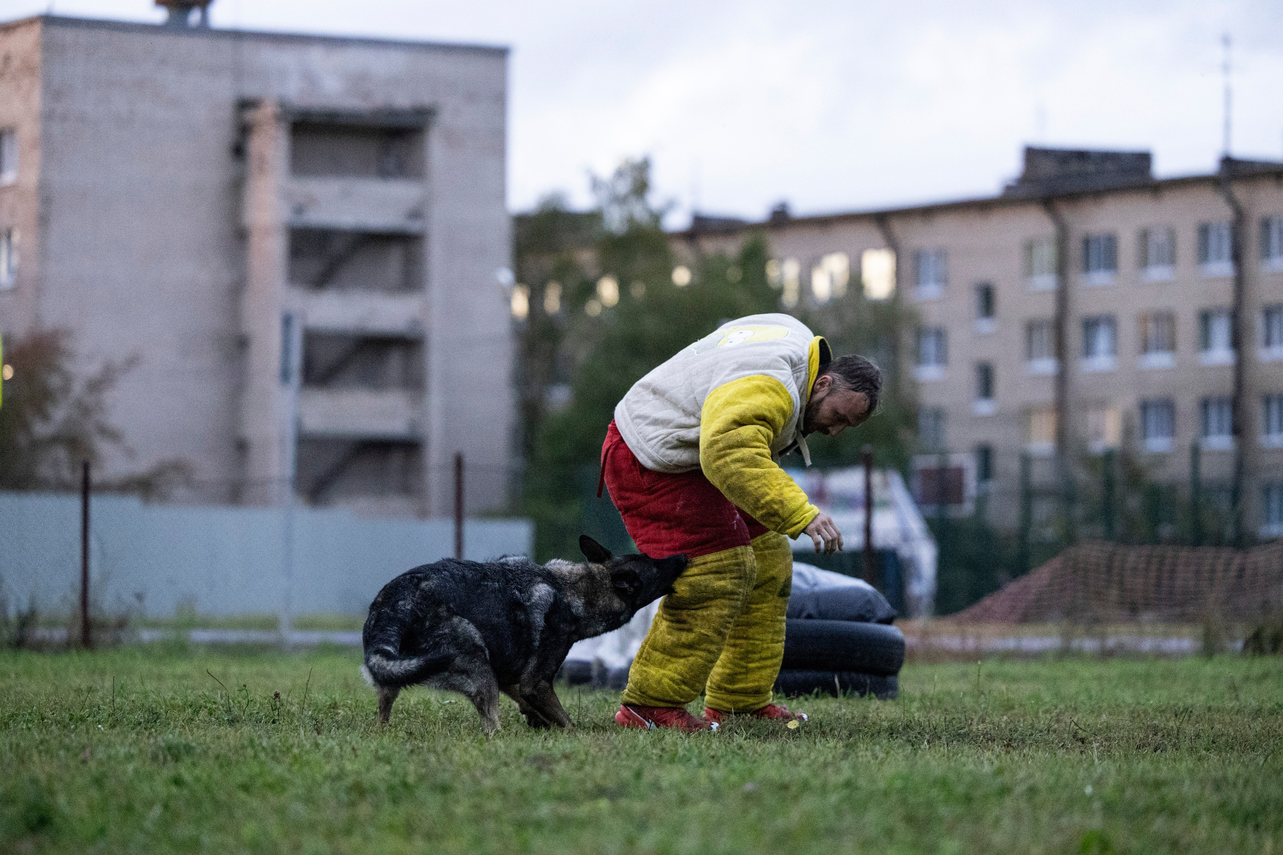Испытания по Мондьорингу г. Пушкин. Фотограф-анималист Анна Маринич