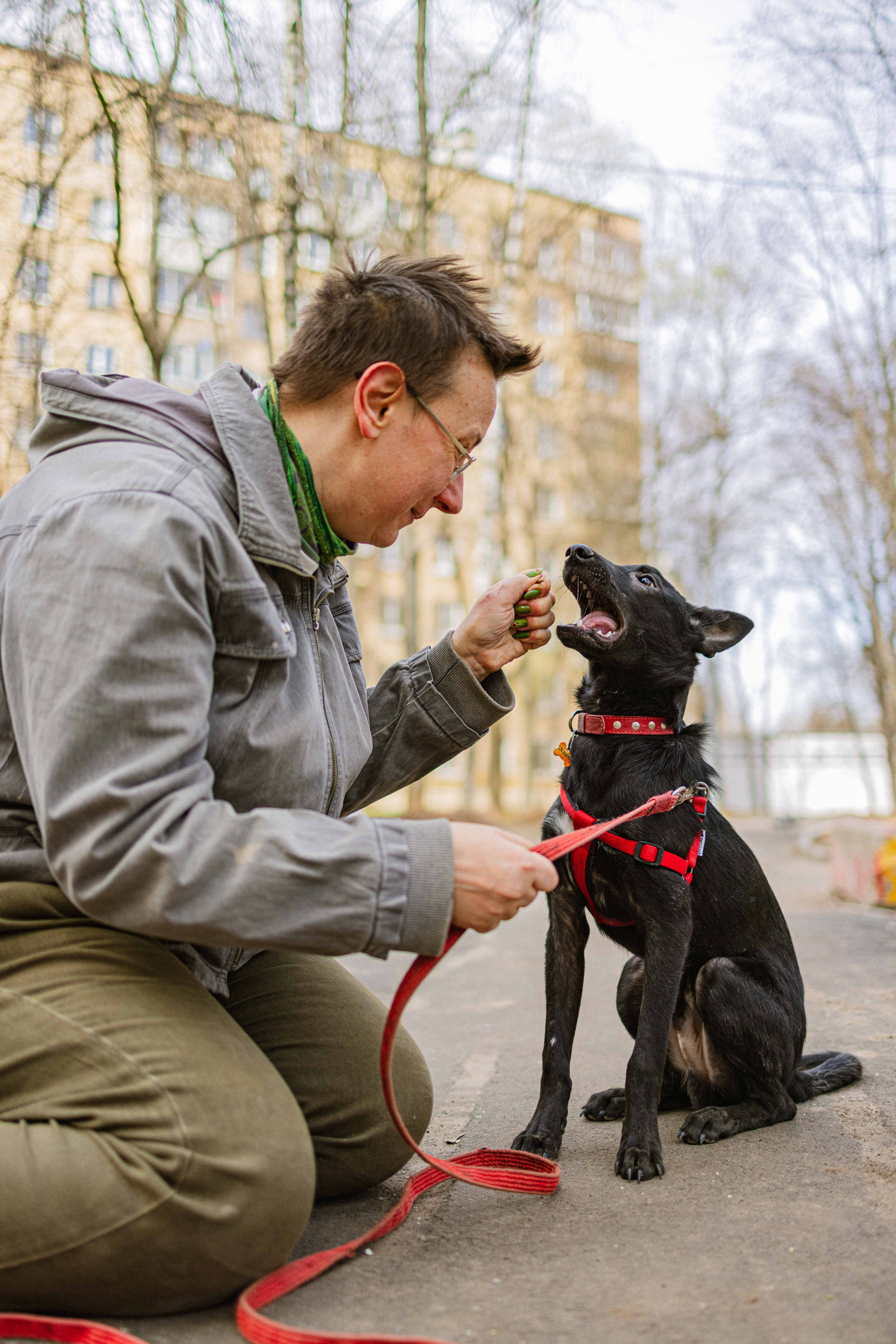 Булька. Фотограф-анималист в Москве Лера Черноног