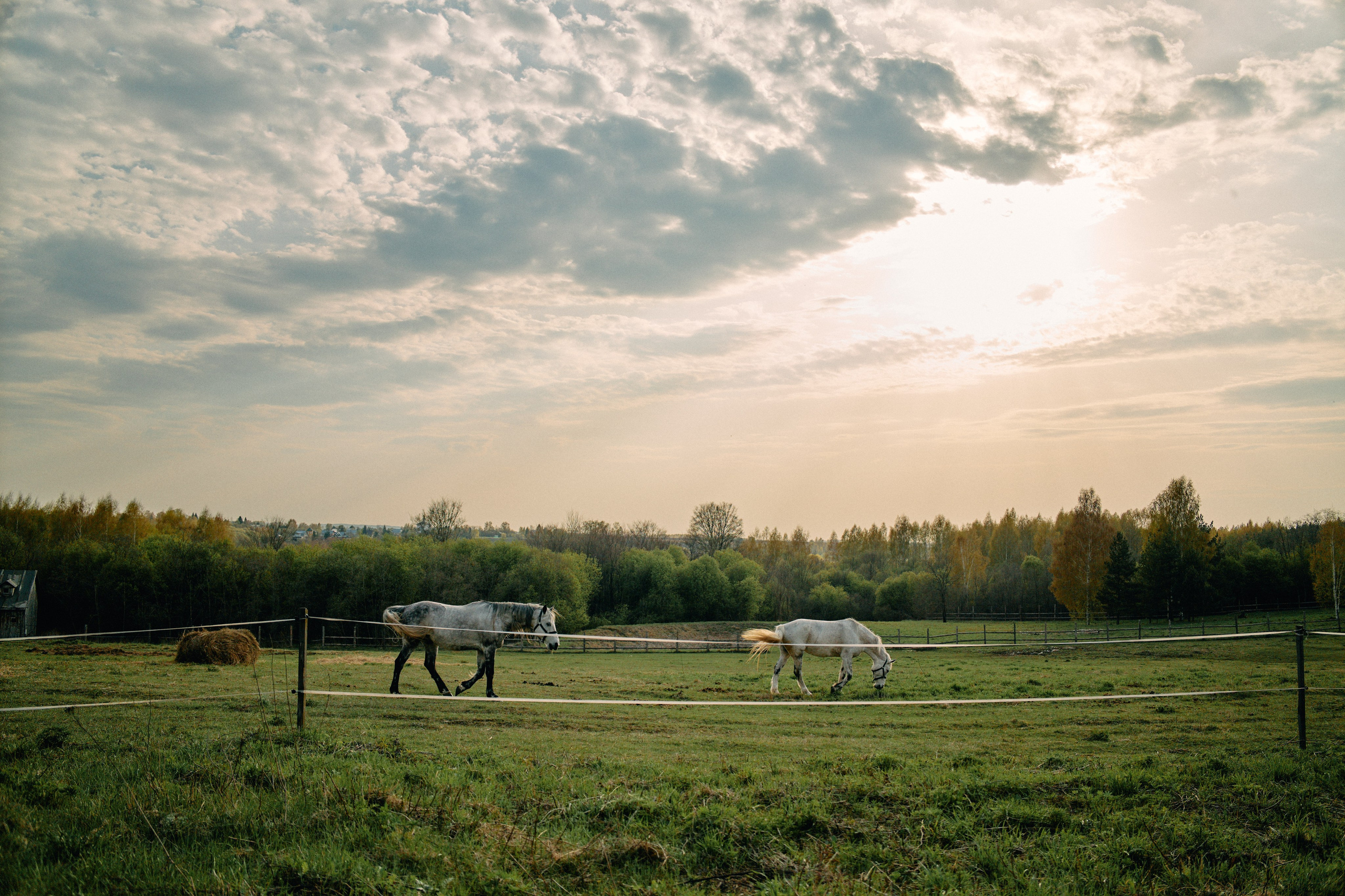 Бутик-отель Поле летом. Профессиональный Фотограф во Владимире, в Москве и в Суздале — Полина Романычева