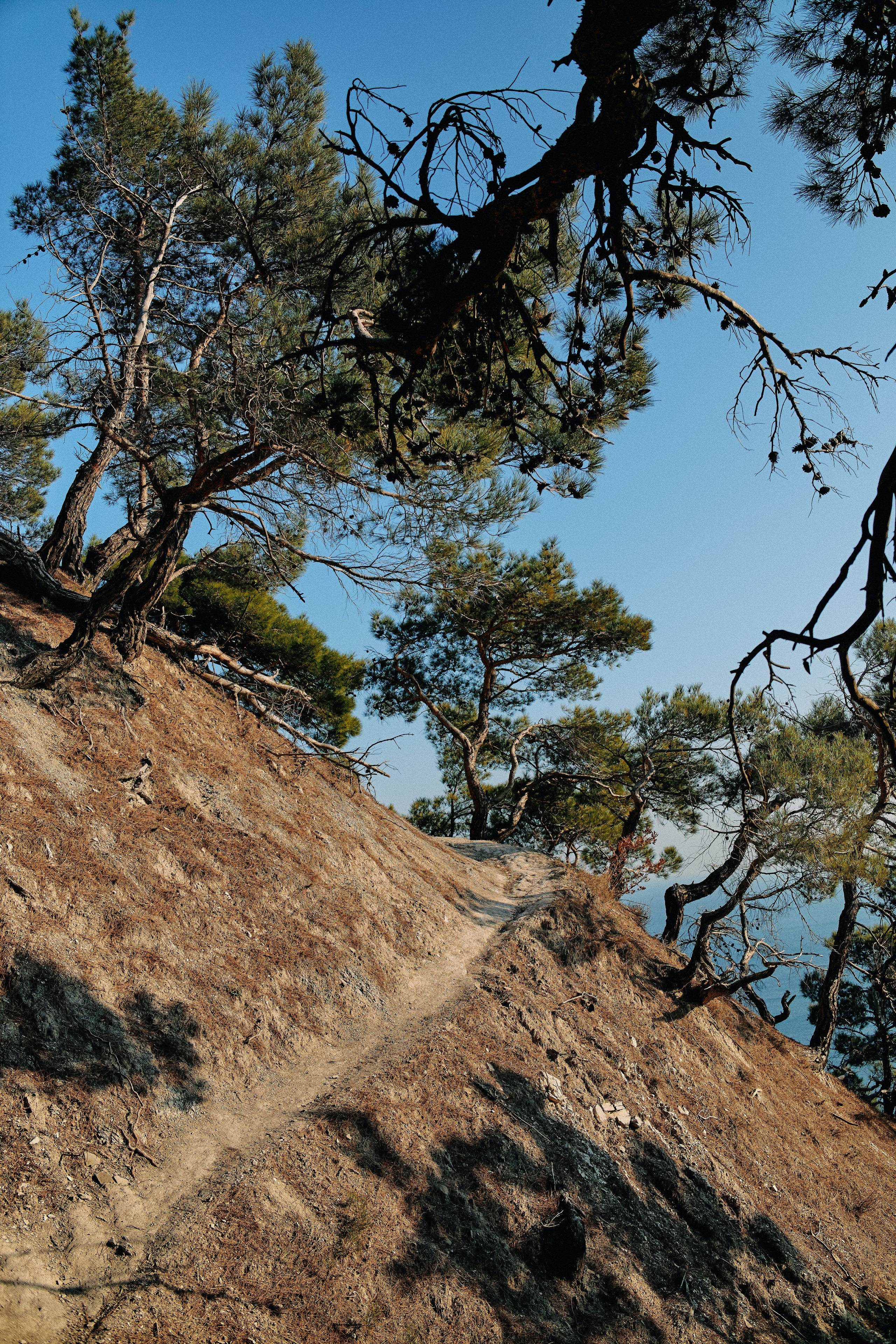 Юг России. Профессиональный Фотограф во Владимире, в Москве и в Суздале — Полина Романычева