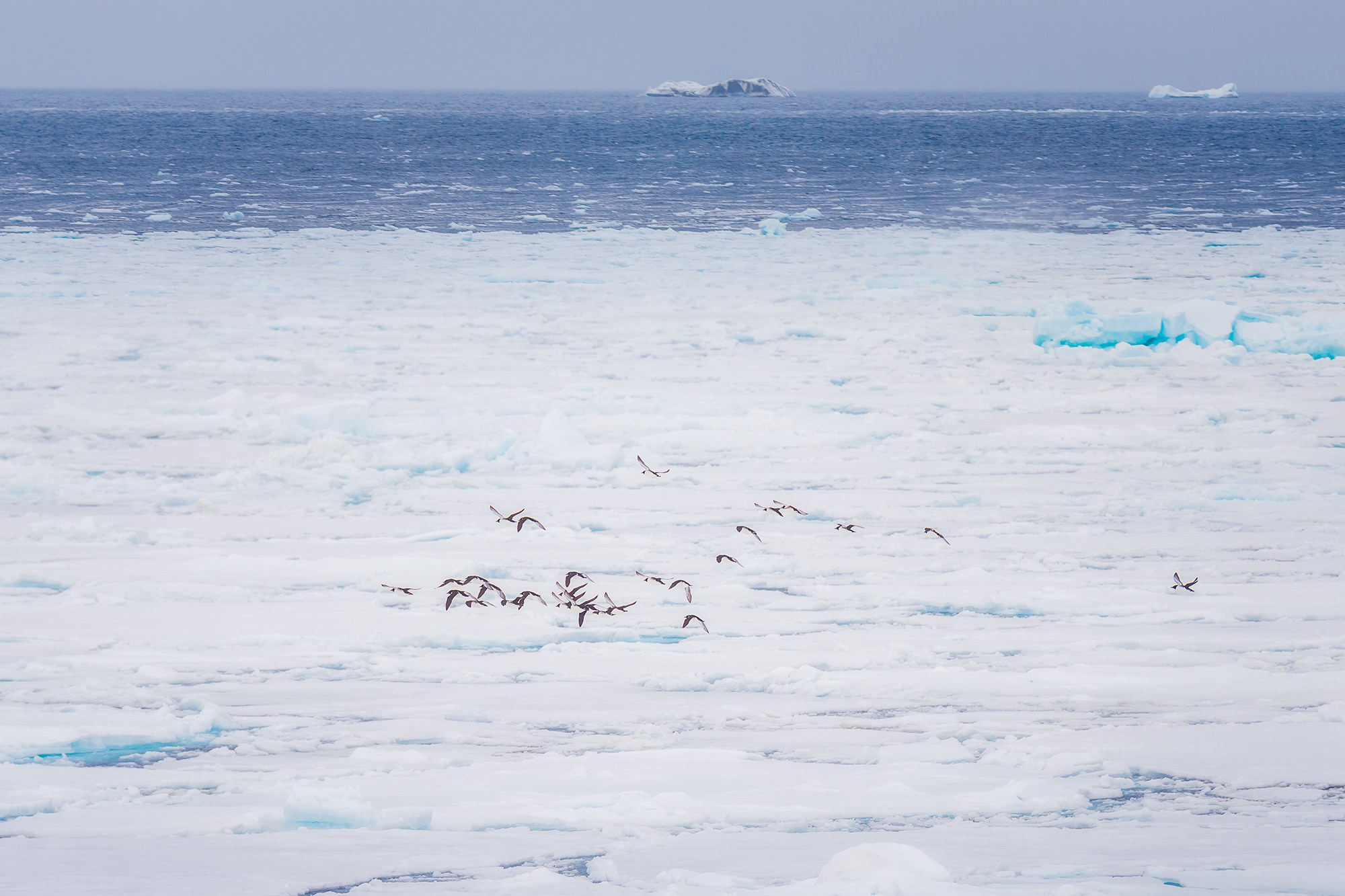 Арктика. Аэросъемка в Архангельске, Александр Ермолин