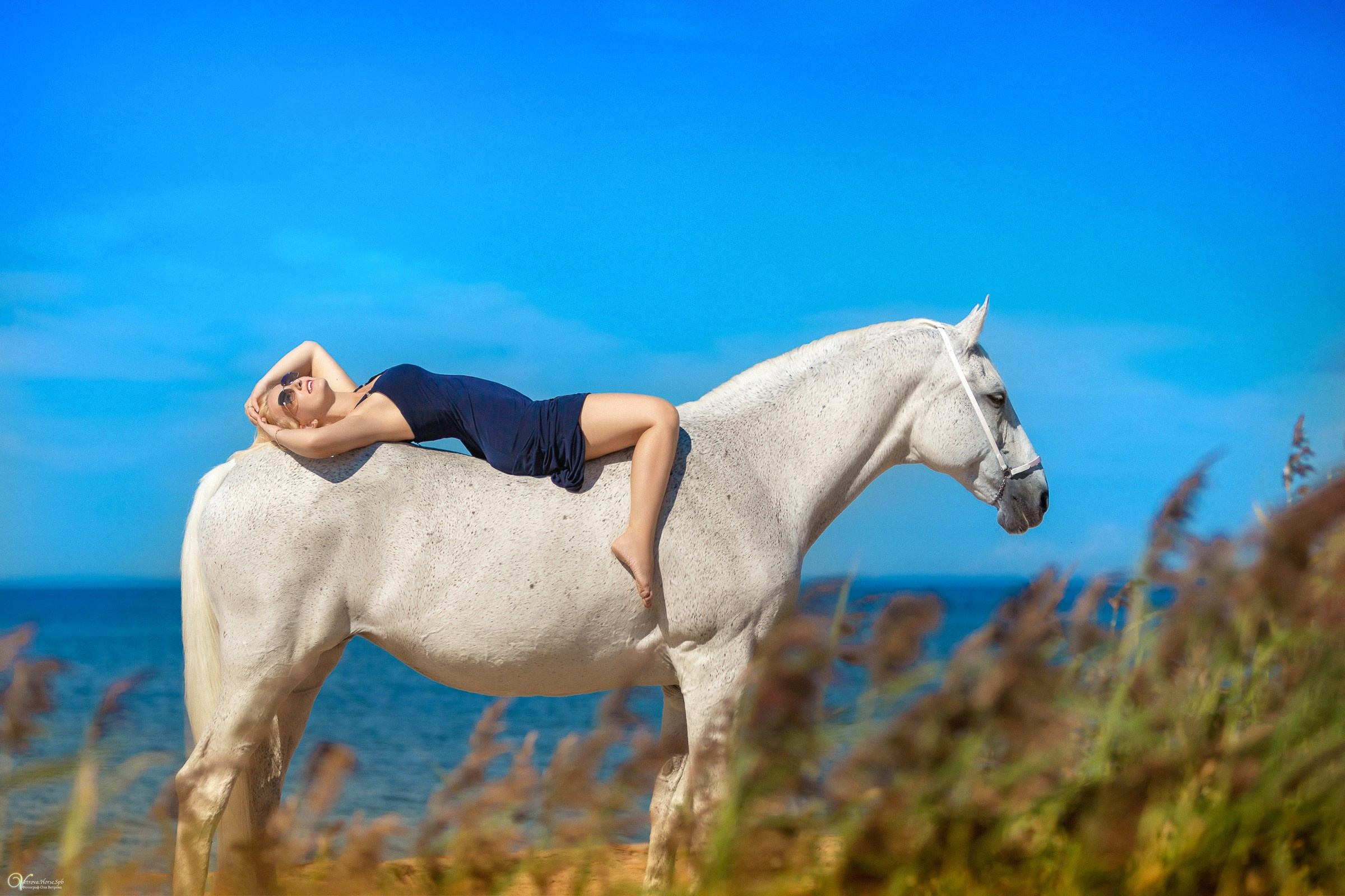 Фотосессии с лошадьми летом. Фотограф женский и мужской портрет Санкт-Петербург